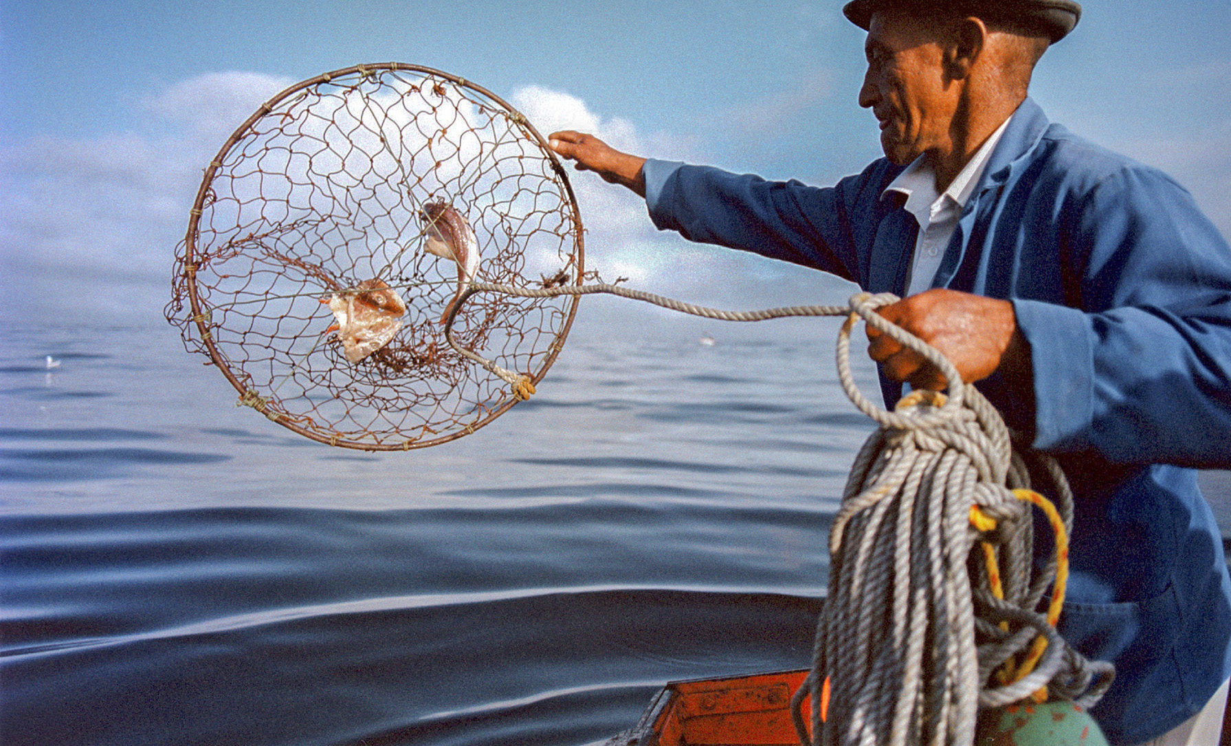 This week: Noxious narratives, the trouble with food and water, plundered oceans and going BIG on details