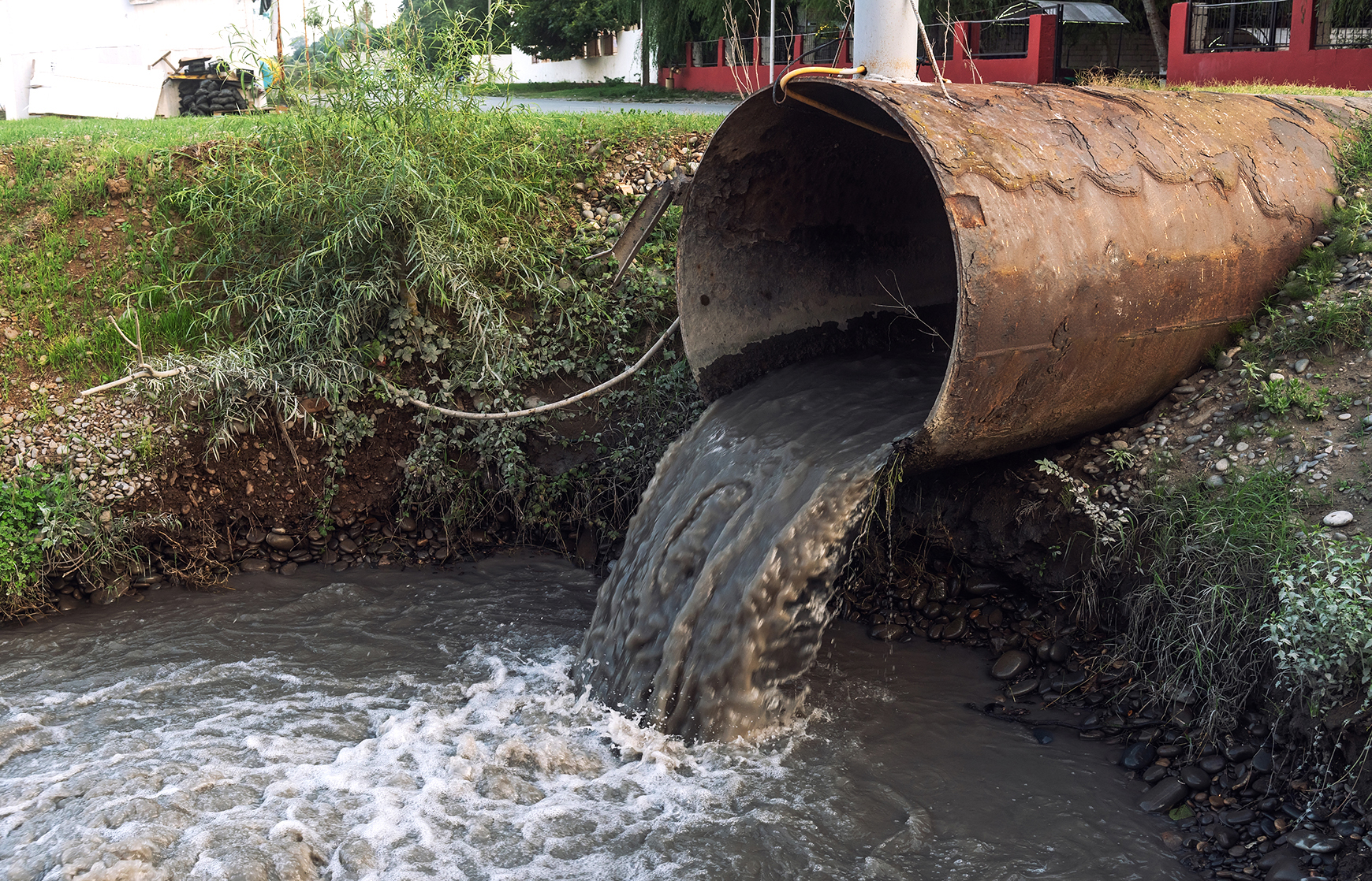 Modern-day oracles? Meet the scientists tracking Covid’s crappy future