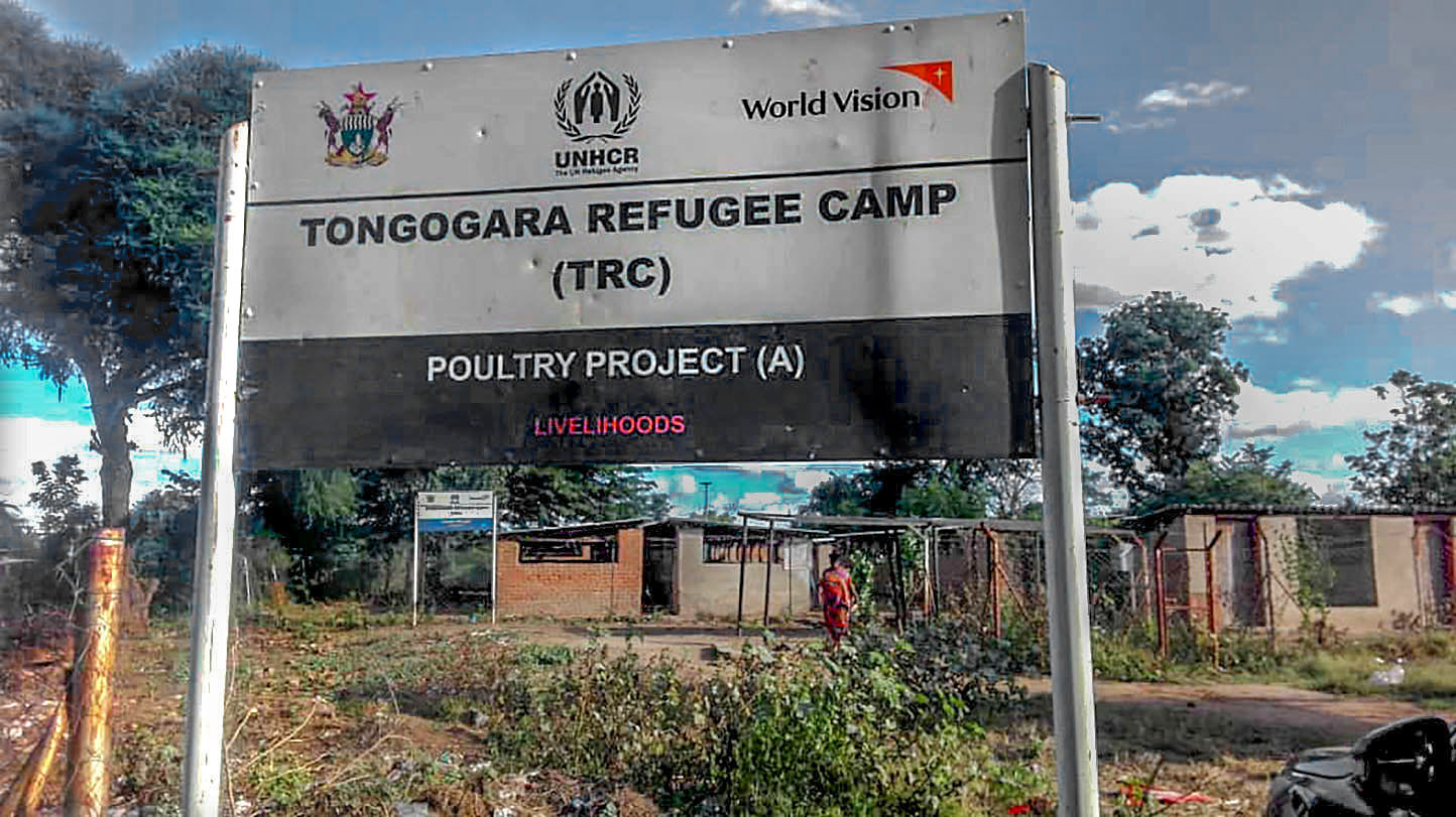 Doctors Without Borders runs mental health intervention in Zimbabwe camp