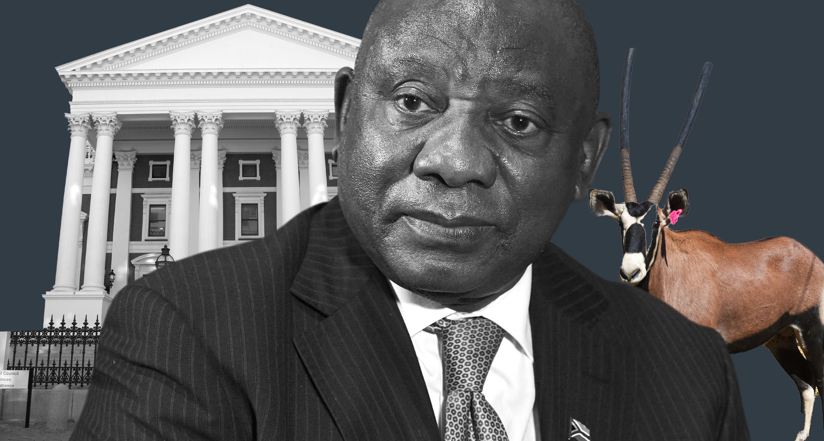 Ramaphosa can’t take 'the fifth' on Phala Phala for much longer