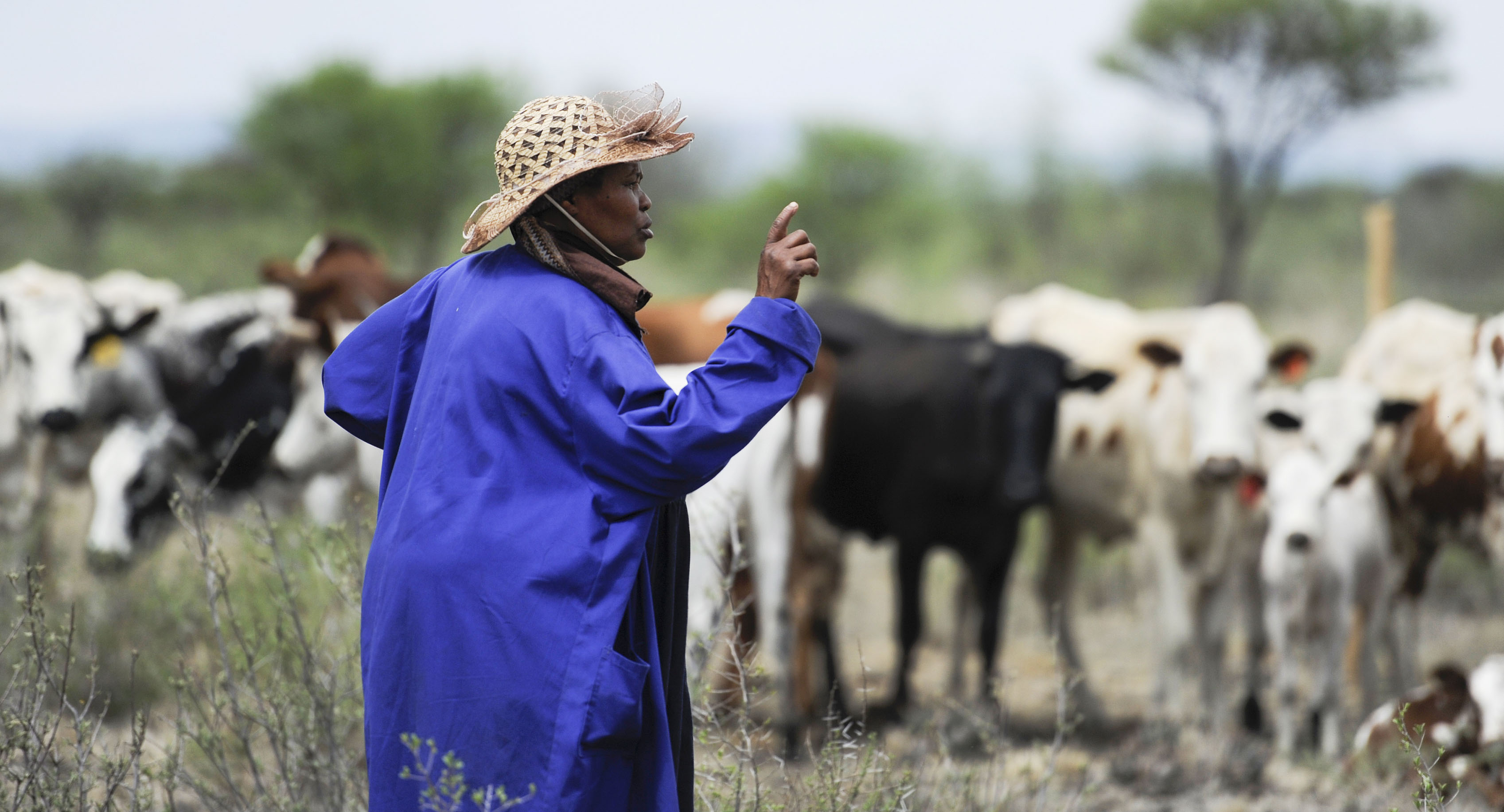 Digital skills will give Africa’s women a growing chance of competing in agriculture