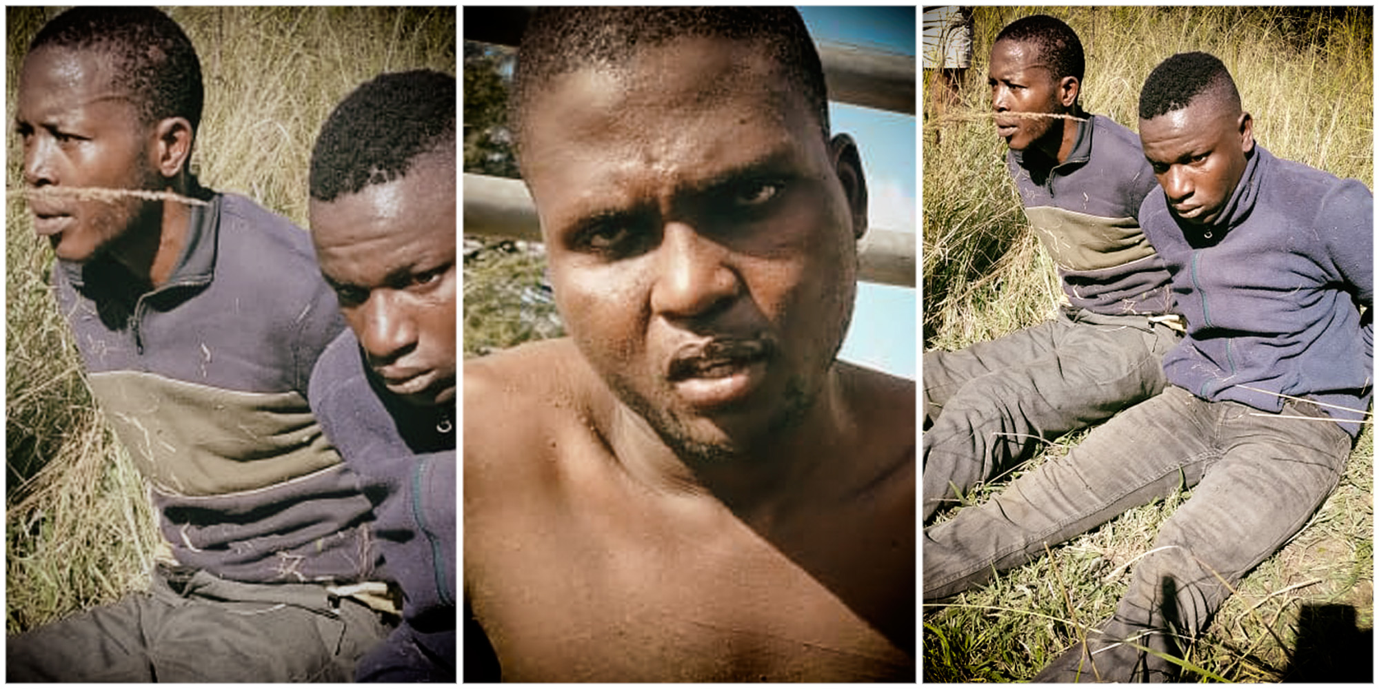 Three rhino poaching suspects arrested as new board steps in at Ezemvelo KZN Wildlife