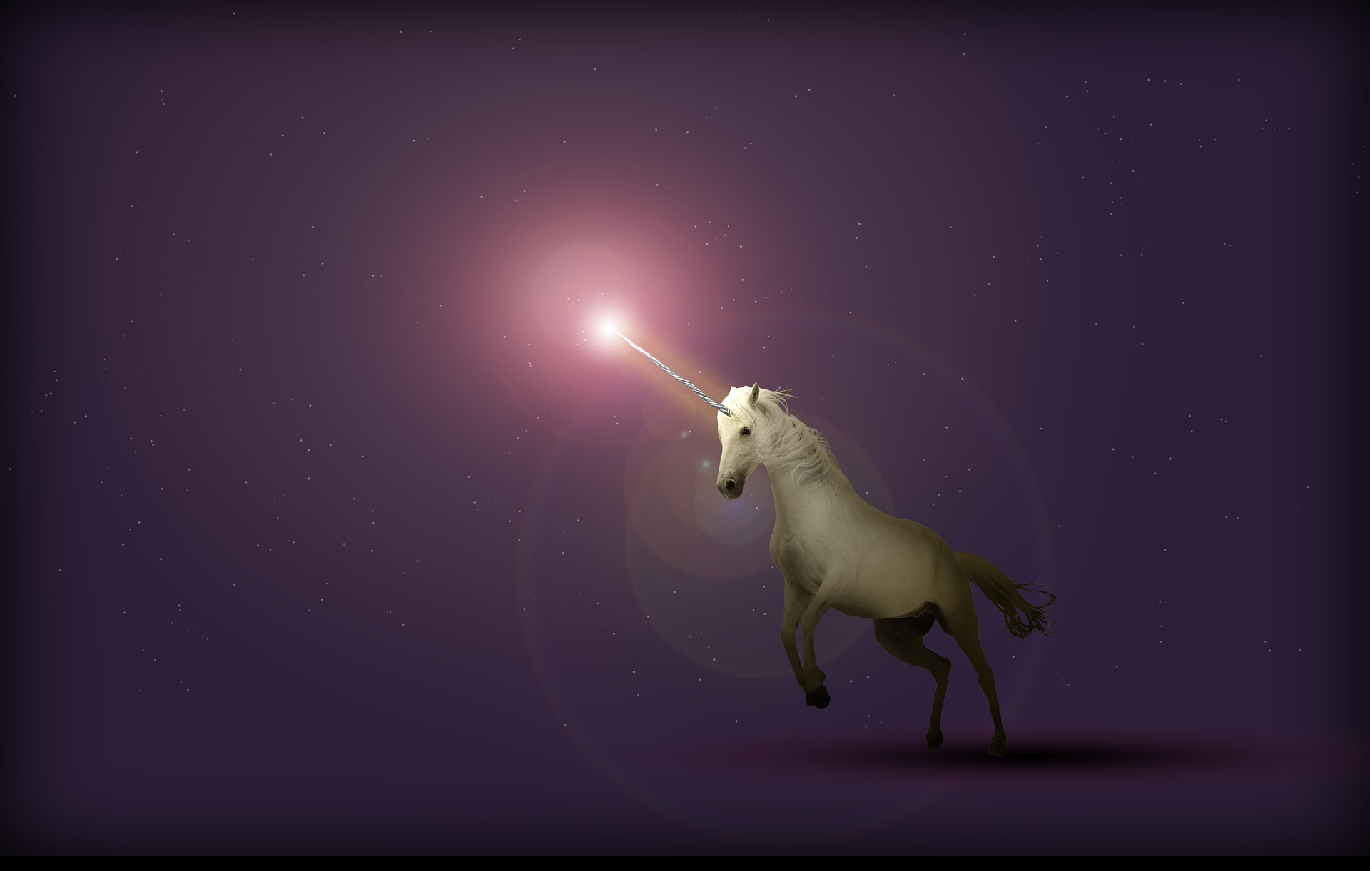 A brief history of unicorns