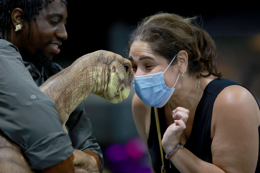 Our World in Pictures: Week 28 of 2022