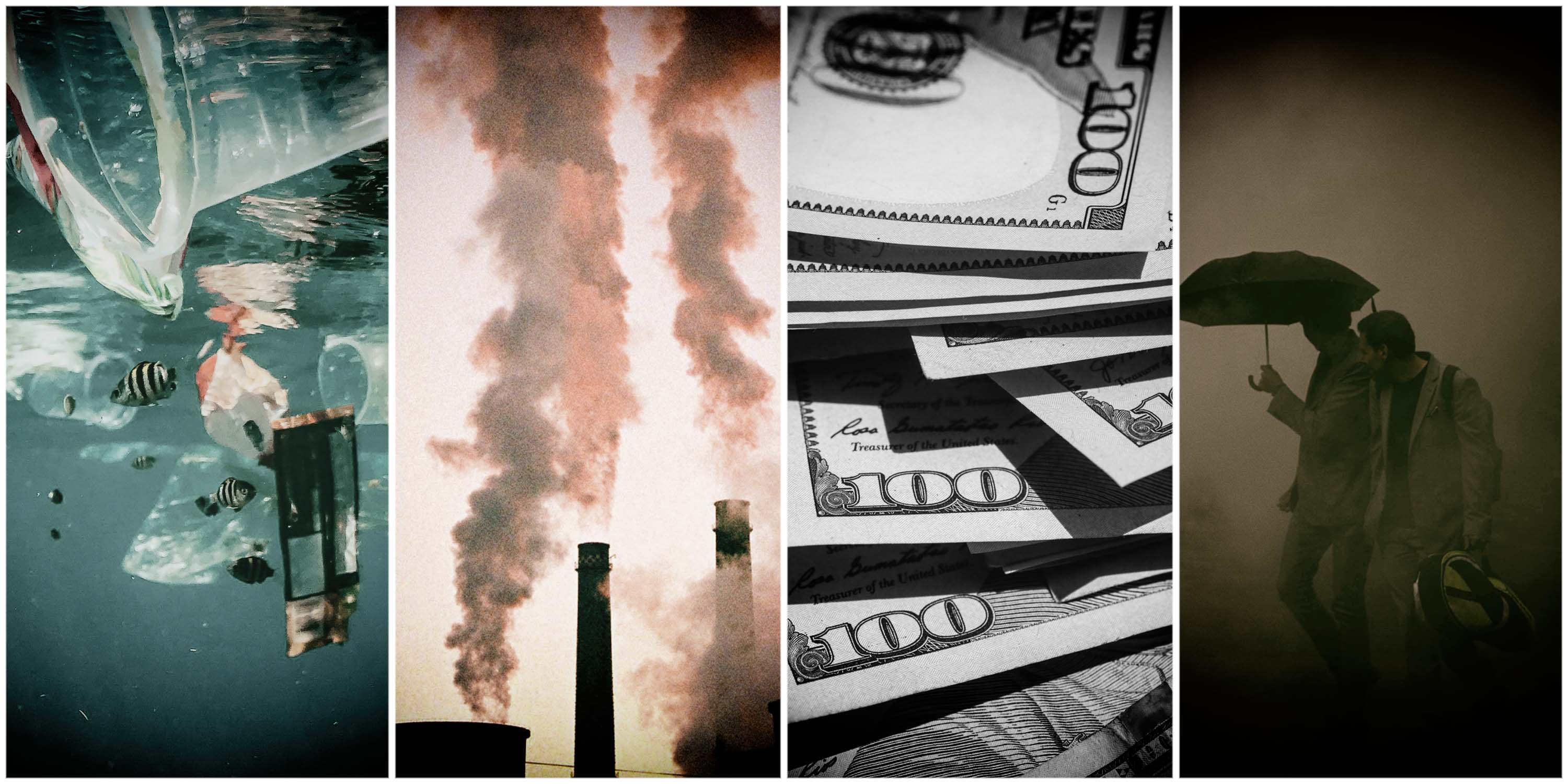 Governments still favour profit over nature, ‘driving global biodiversity crisis’ — UN report