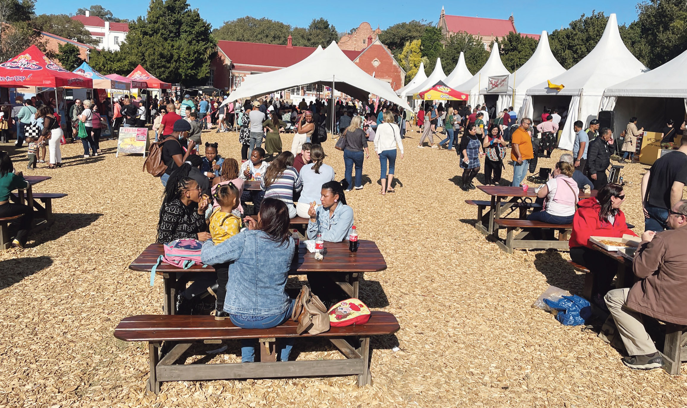 Makhanda arts festival of smiles returned to rise like a fragile phoenix