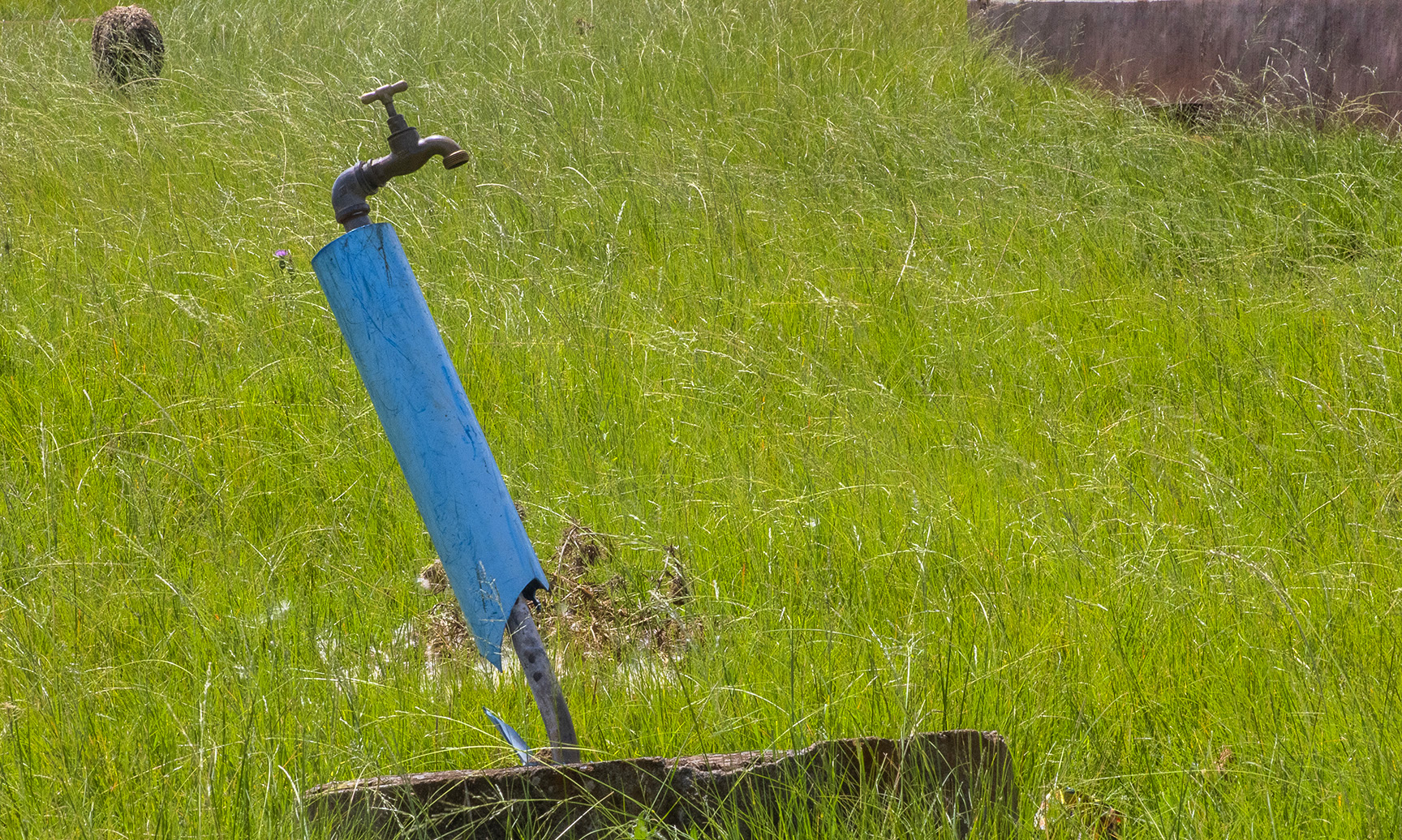 Eleven days without water — load shedding in Eastern Cape wrecks Middelburg borehole pumps