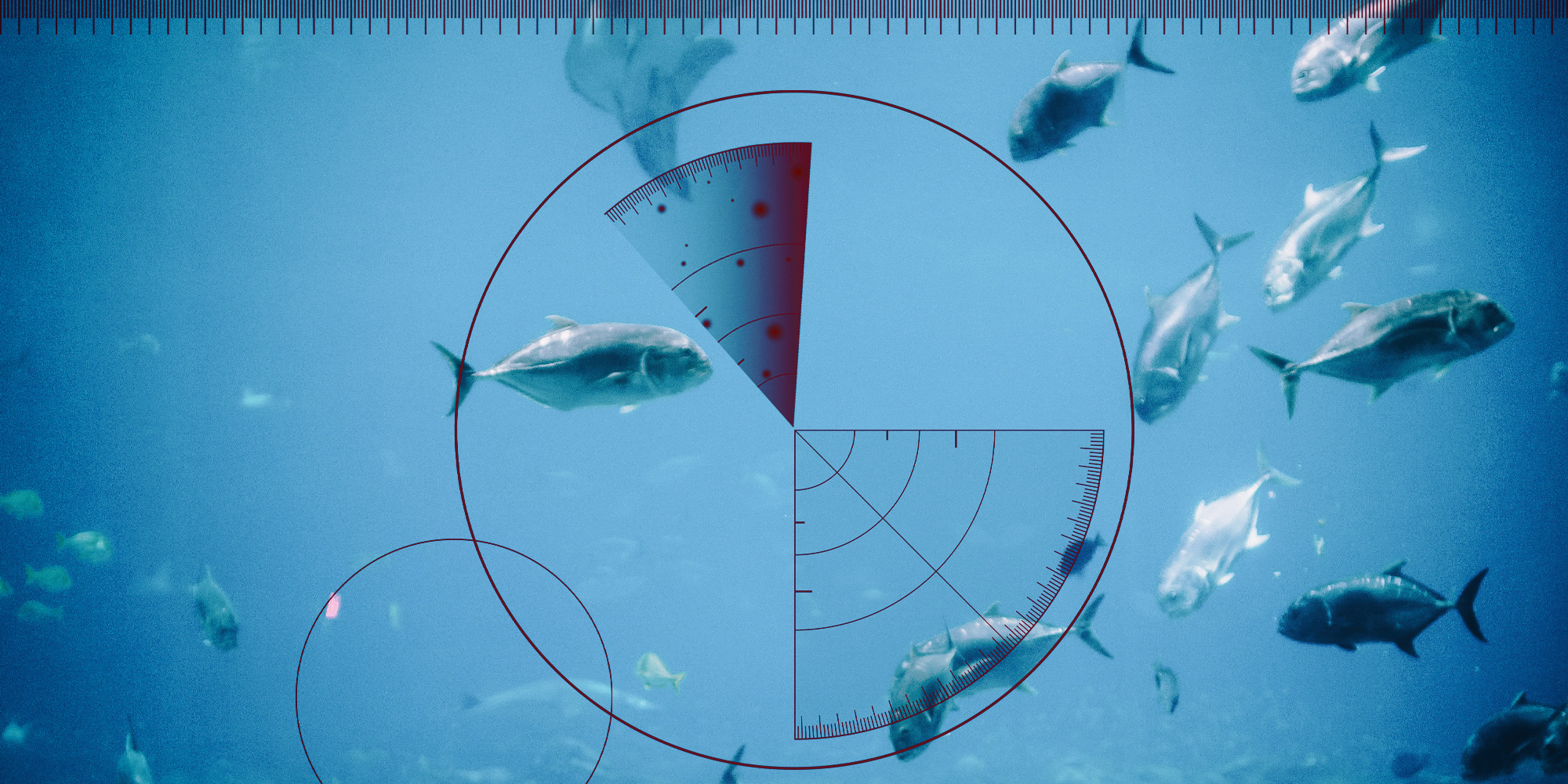 Searcher Geodata returns to South Africa to pursue seismic surveys off the West Coast