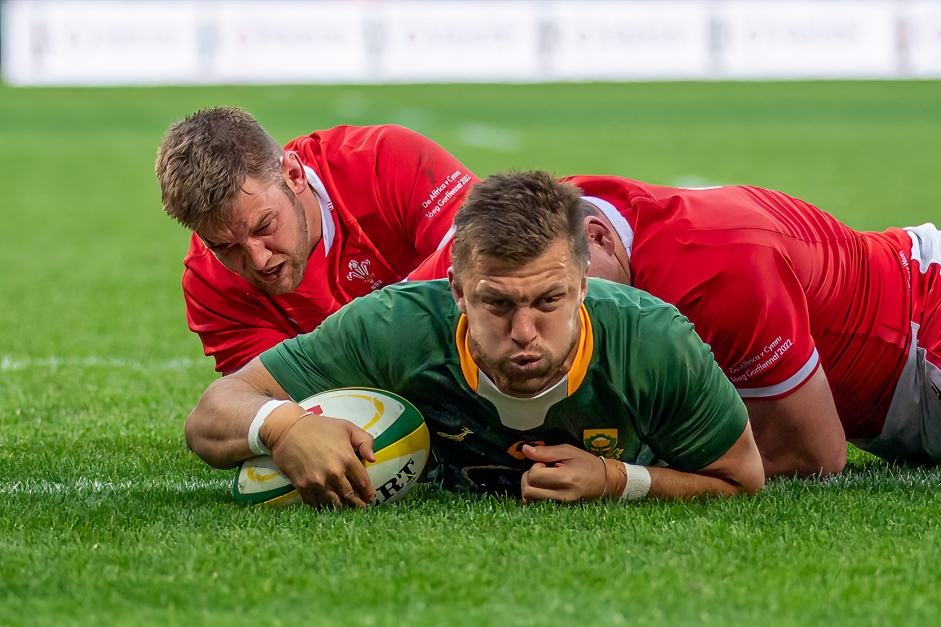 Powerful Springboks secure series win over gutsy Wales