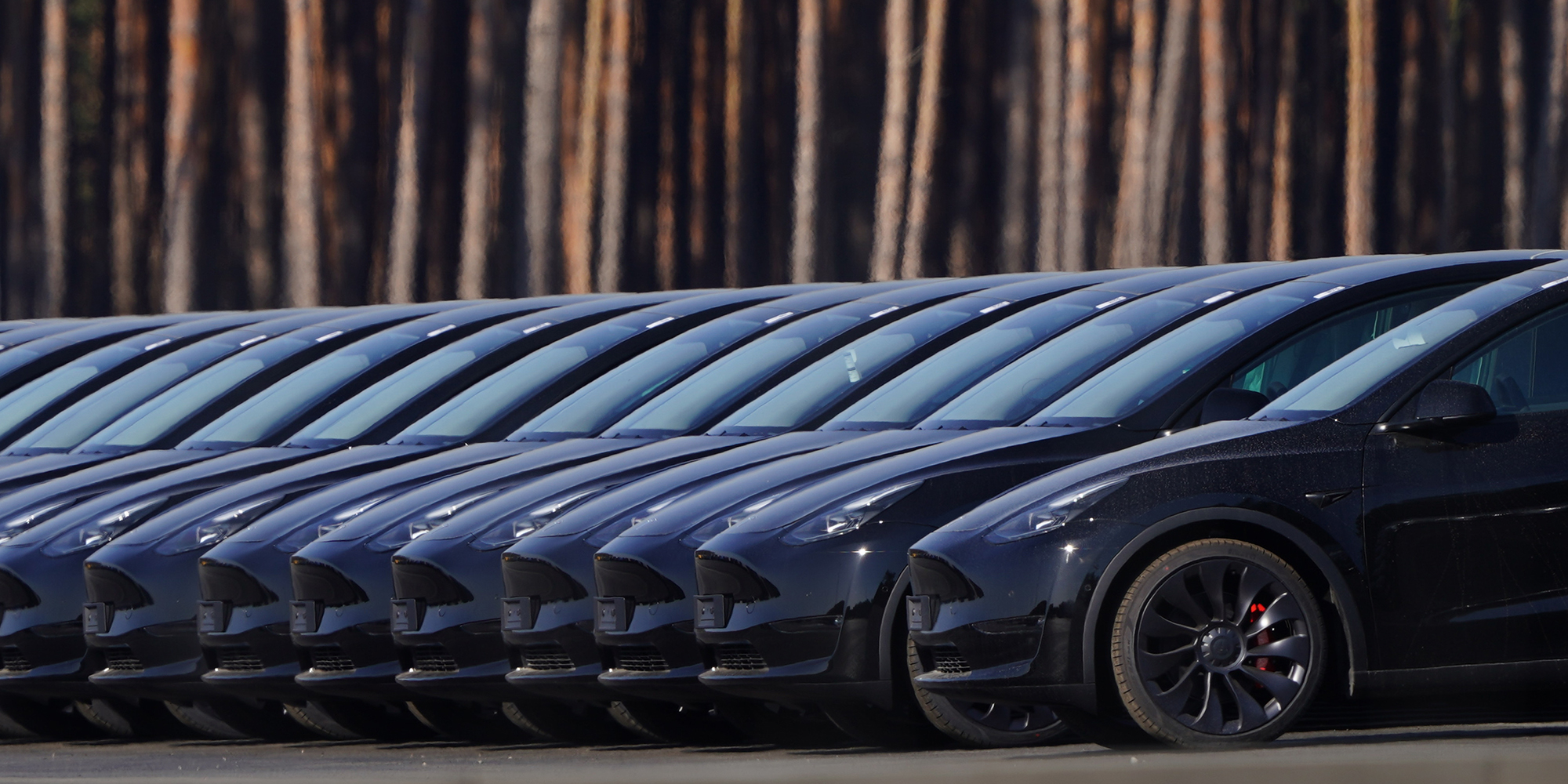 Elon Musk’s Tesla is the exception that actually does prove the rule