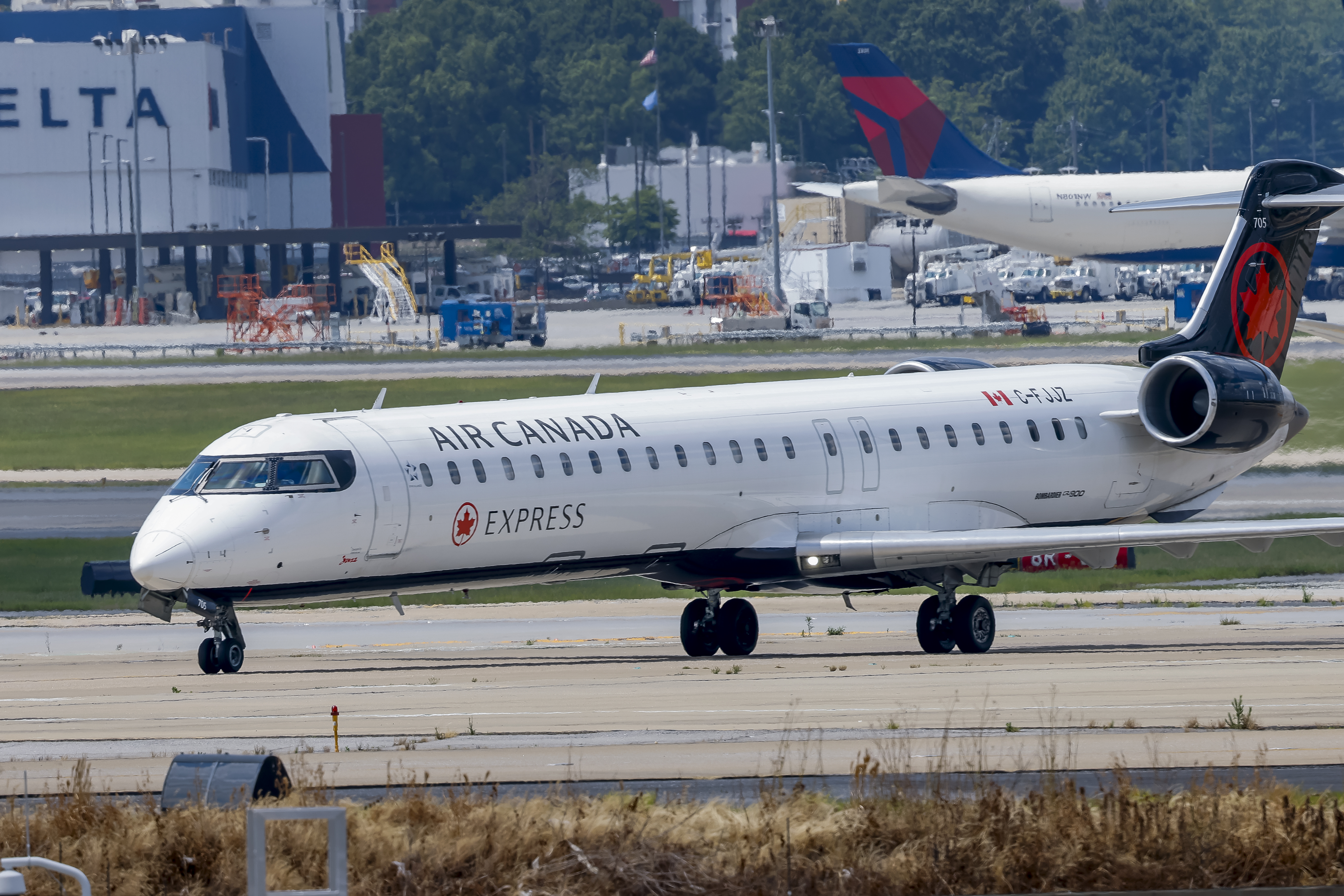 Air Canada temporarily bans pets from baggage hold after surge in post-Covid airline traffic