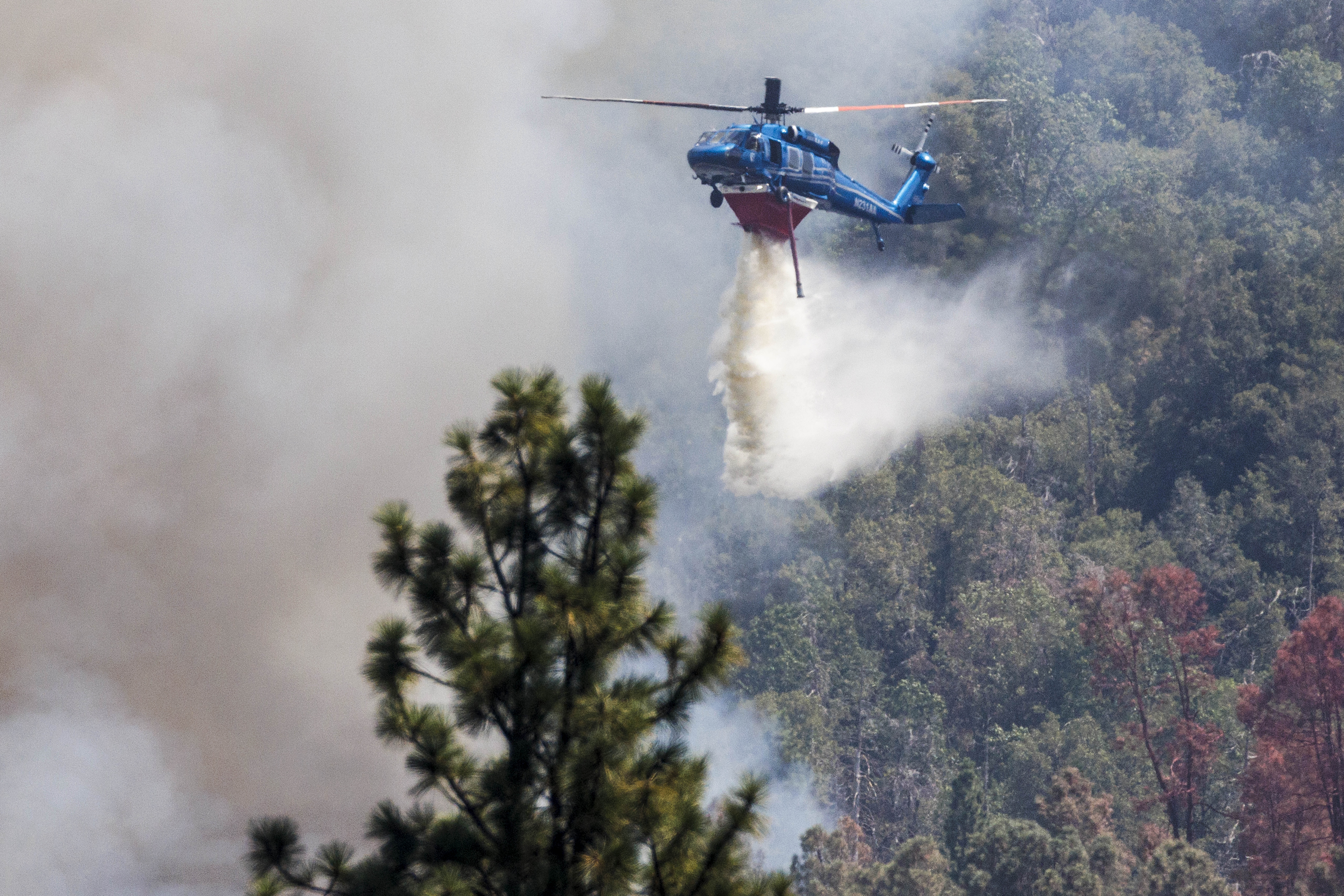 Oak Fire expands in twleve hours to 14,250 acres