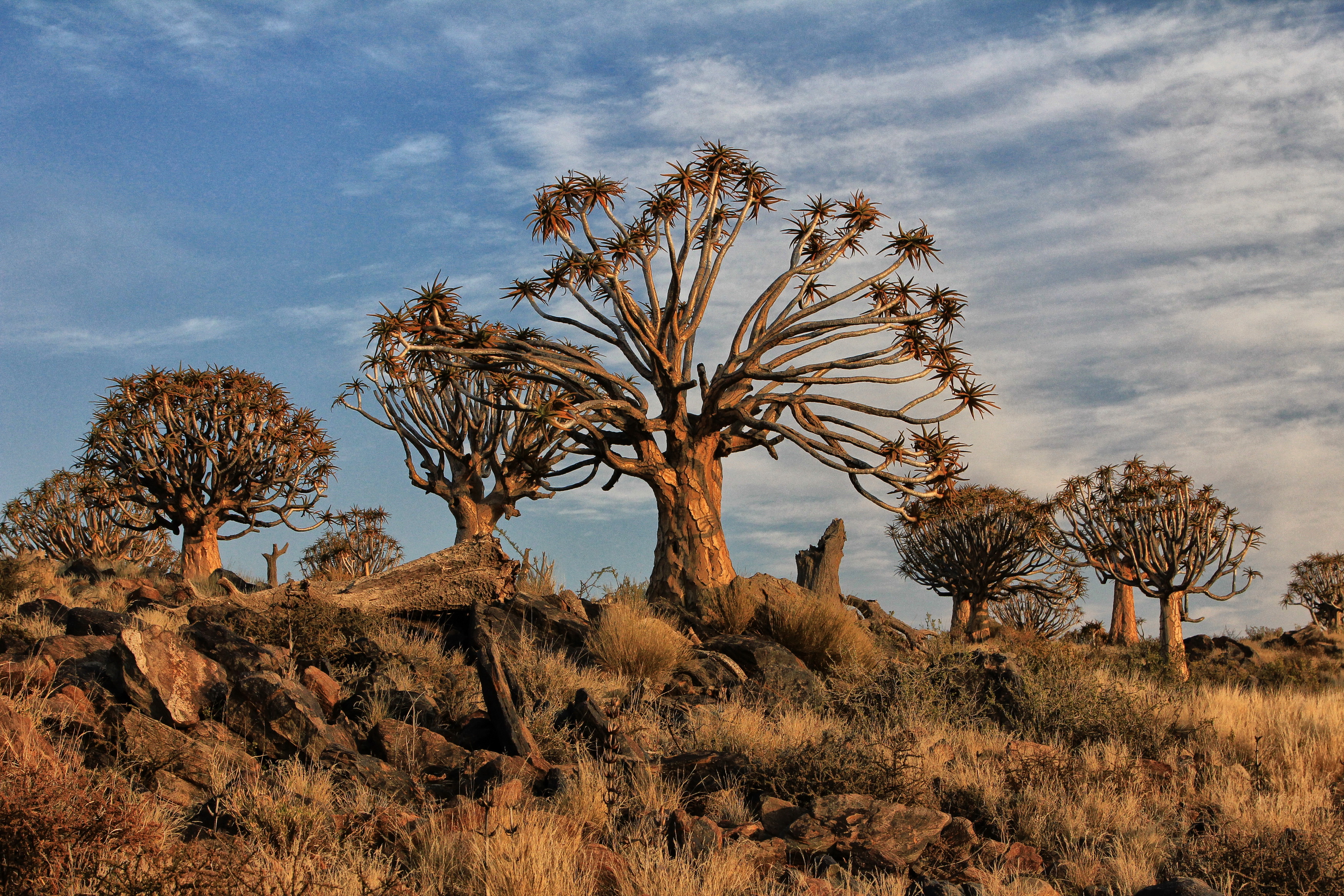 Kenhardt: The former outlaw town with a sunny future