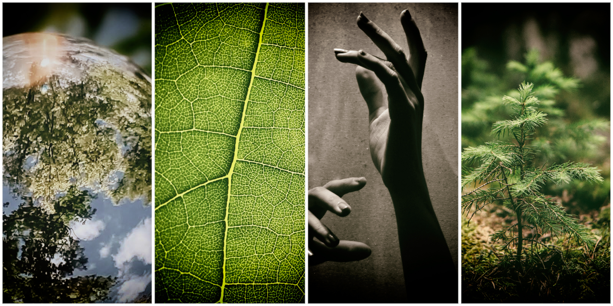 Humanity is living on borrowed ecological resources, running out of time