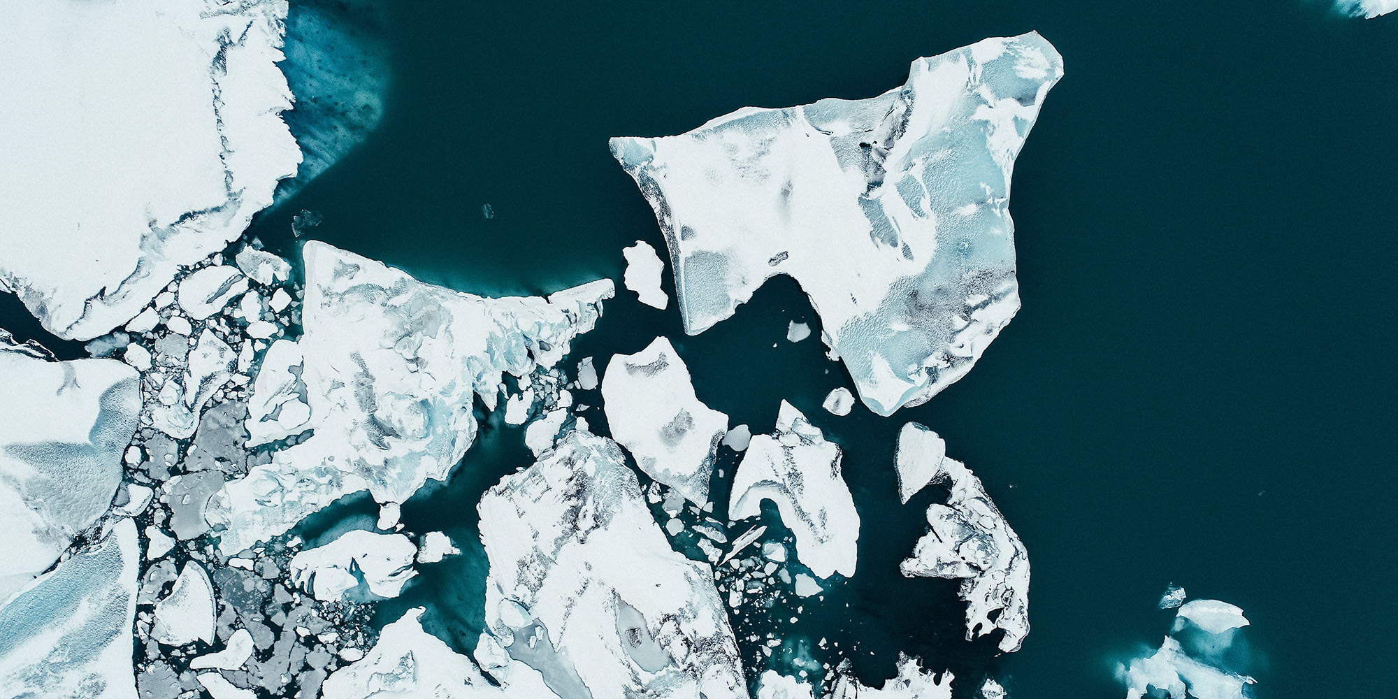 Scientists tune in to the changing sounds of a planet in the throes of a climate crisis