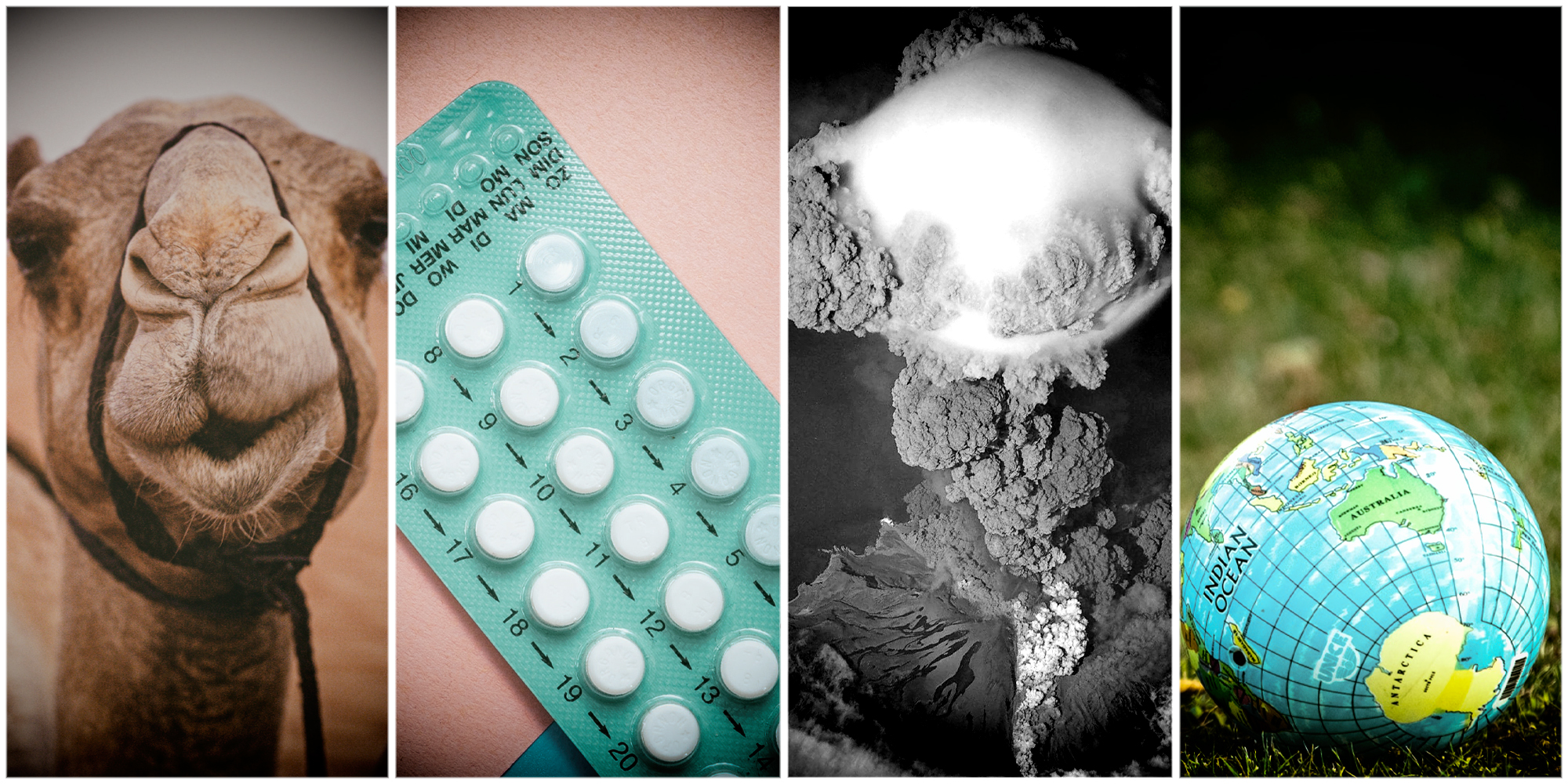 Why fighting climate change is a laughing matter (sometimes)