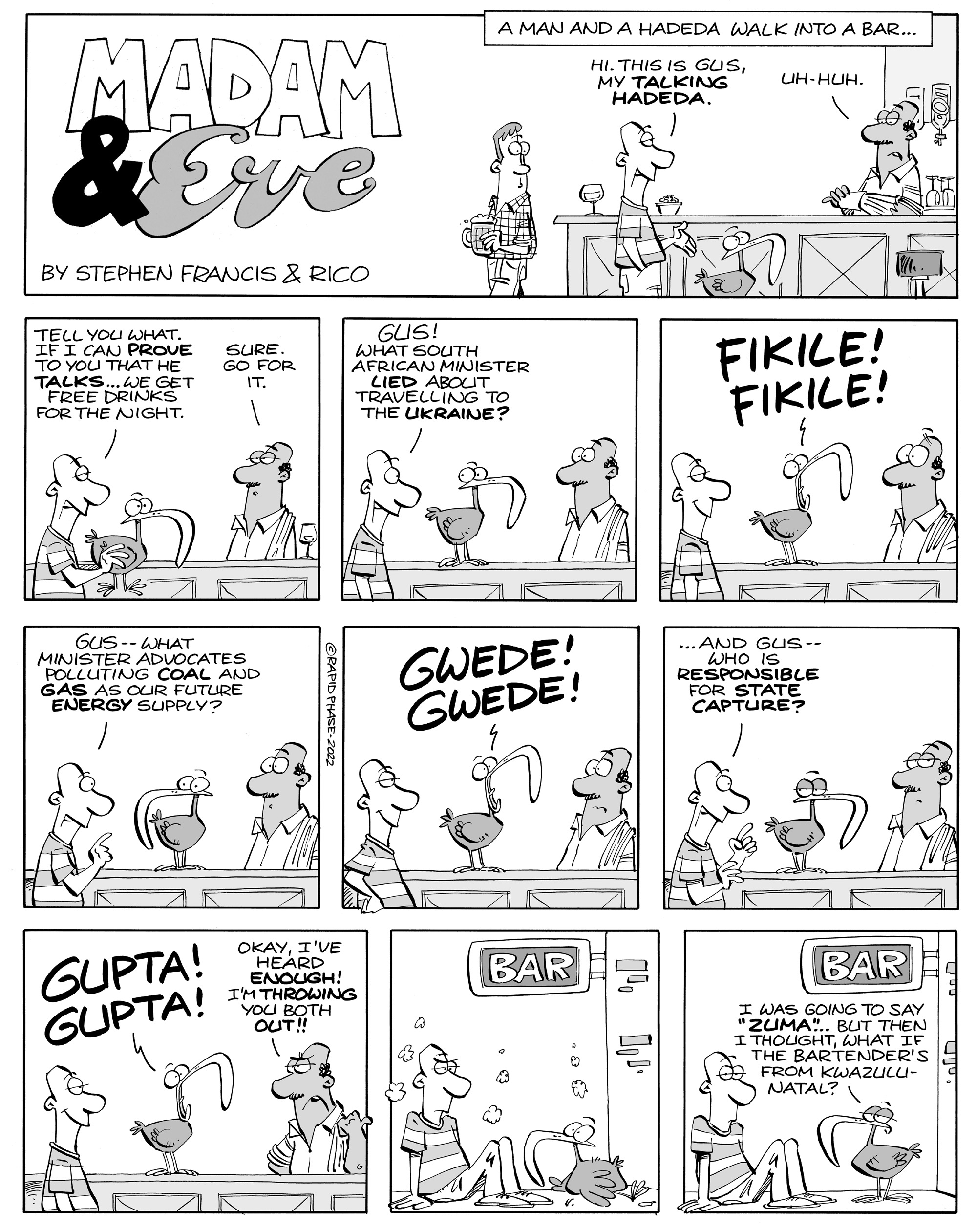 A Man And A Hadeda Walk Into A Bar