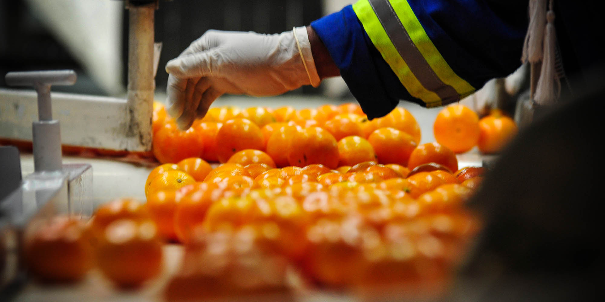 US tariff uncertainty casts shadow over South Africa’s citrus lifeline