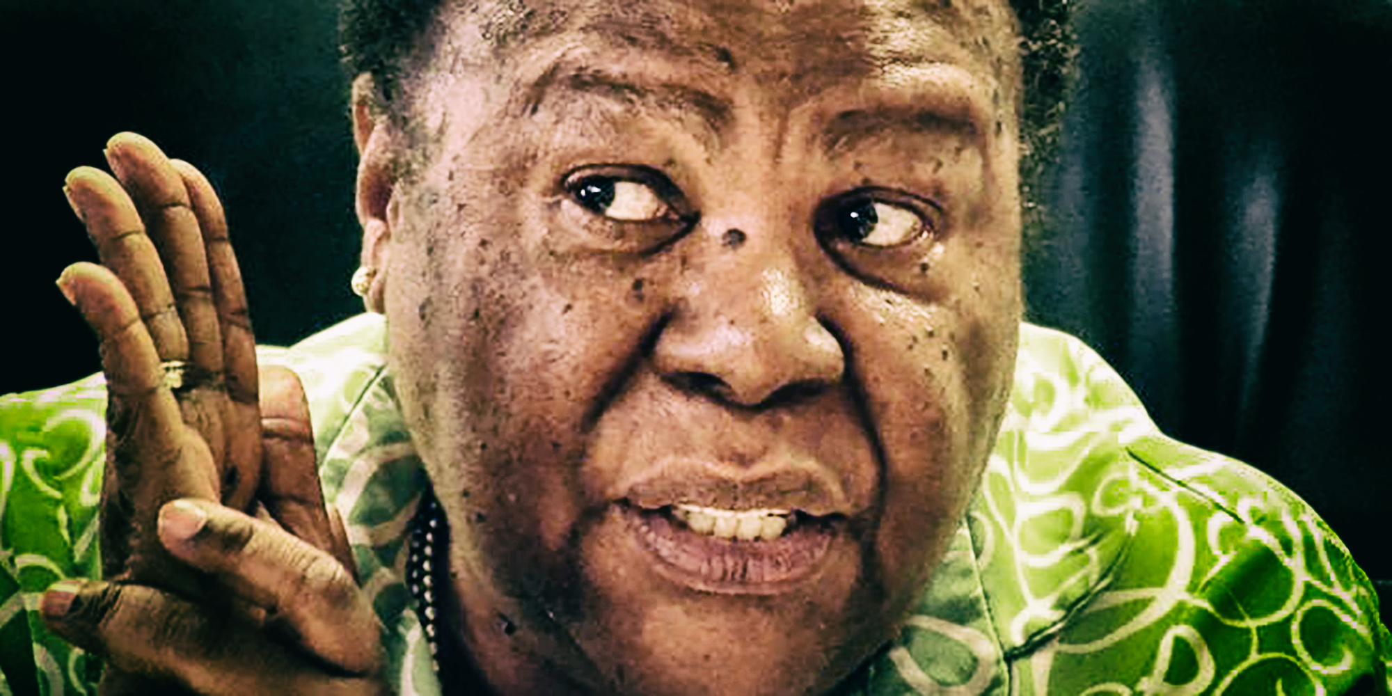 Foreign governments fear Phala Phala could destabilise South Africa