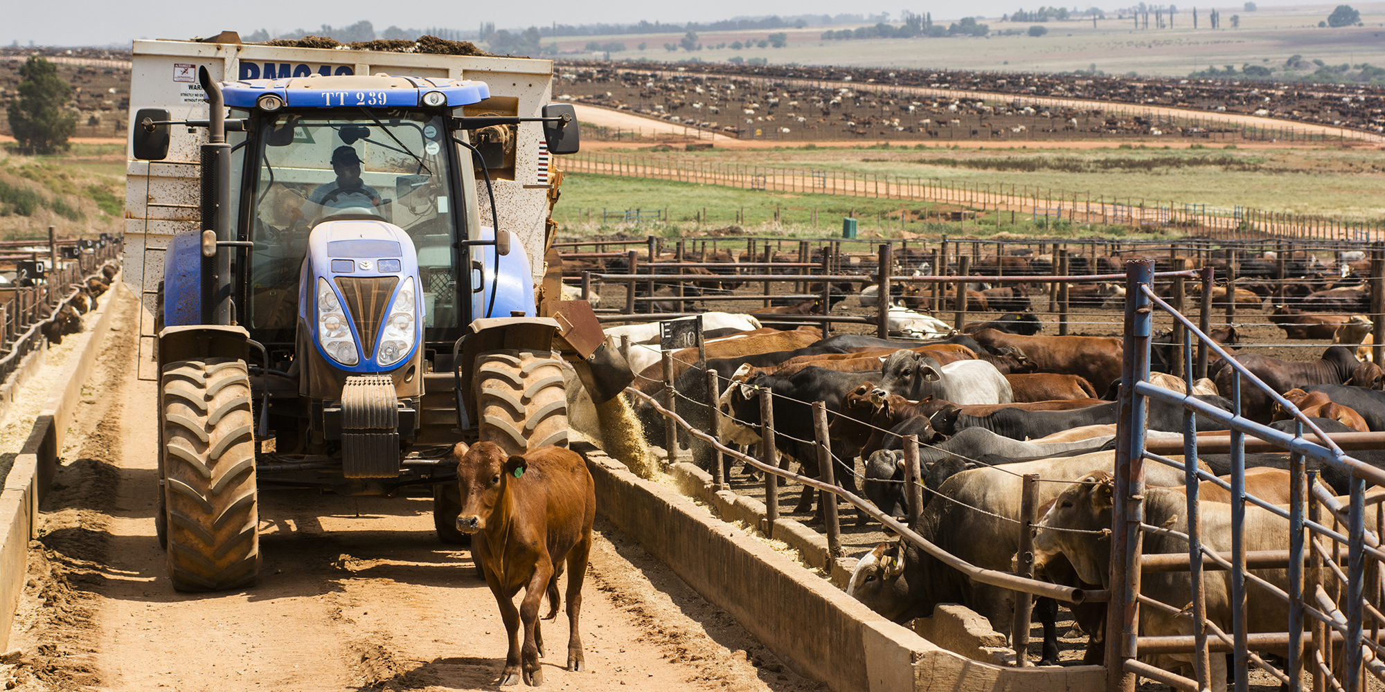We urgently  need to change how our food is produced, distributed, wasted and consumed to avoid climate chaos