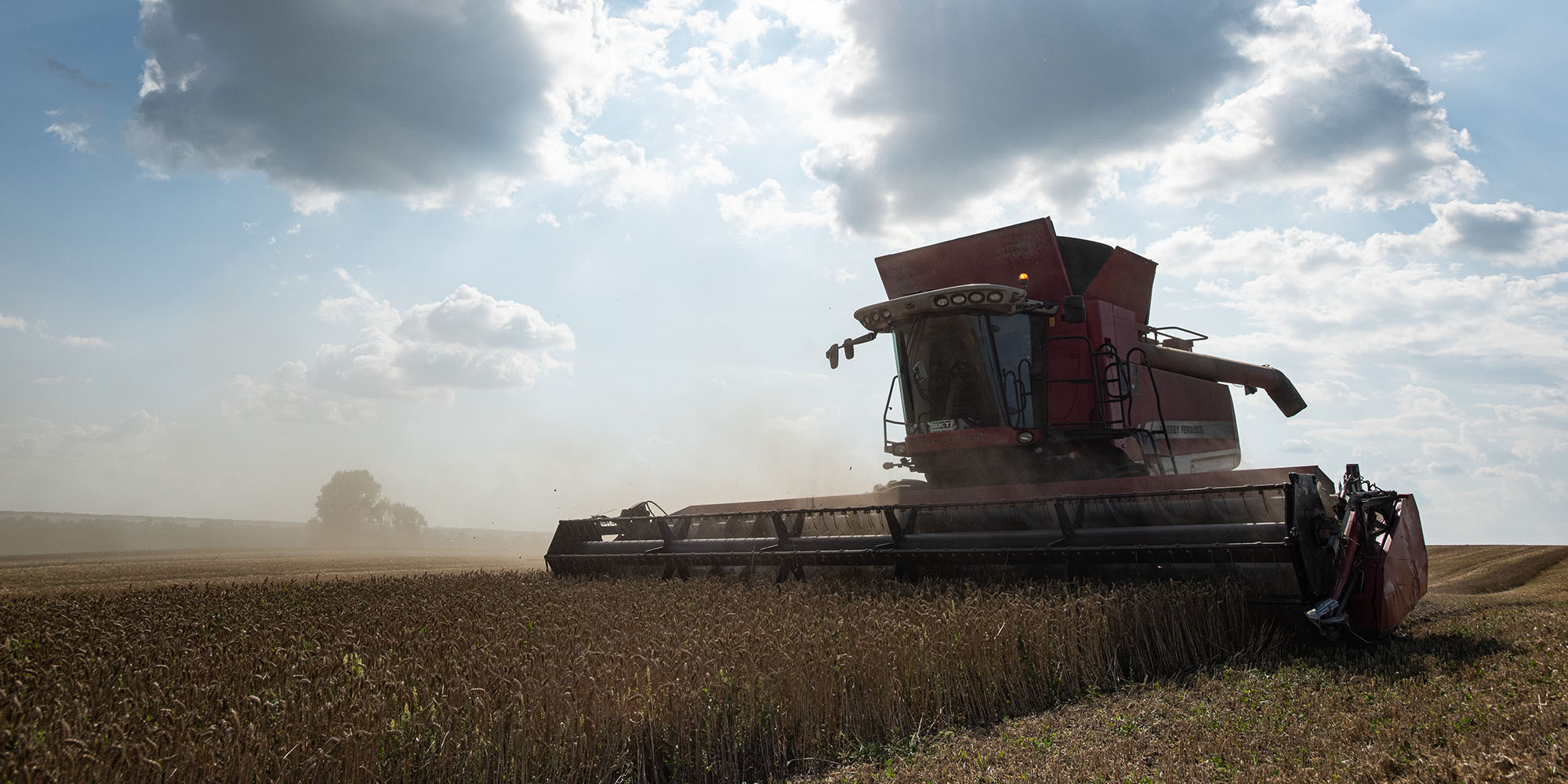 Grain shipments kick into higher gear; nuclear plant shelled again
