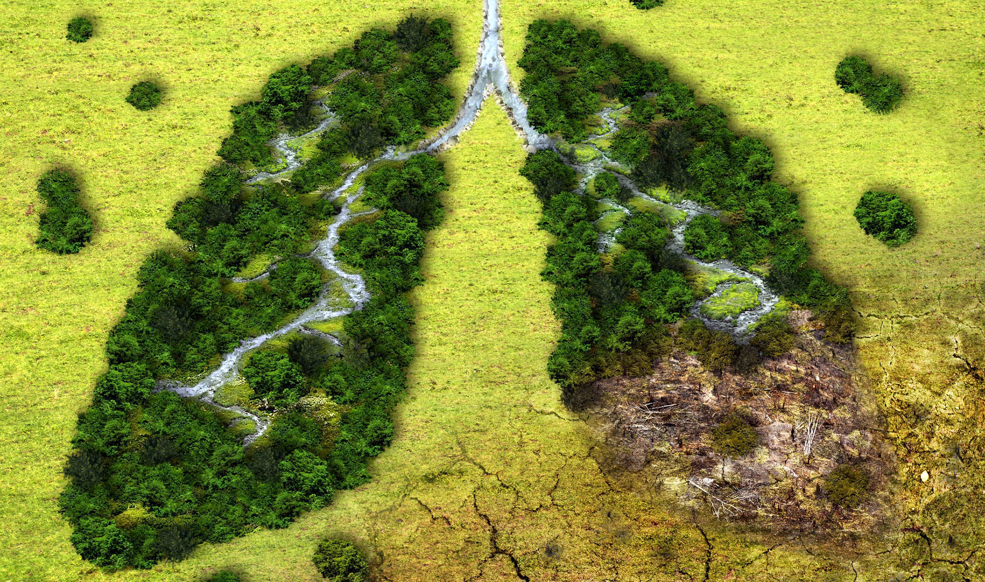 South Africa’s framework for a just transition fails to recognise the climate emergency