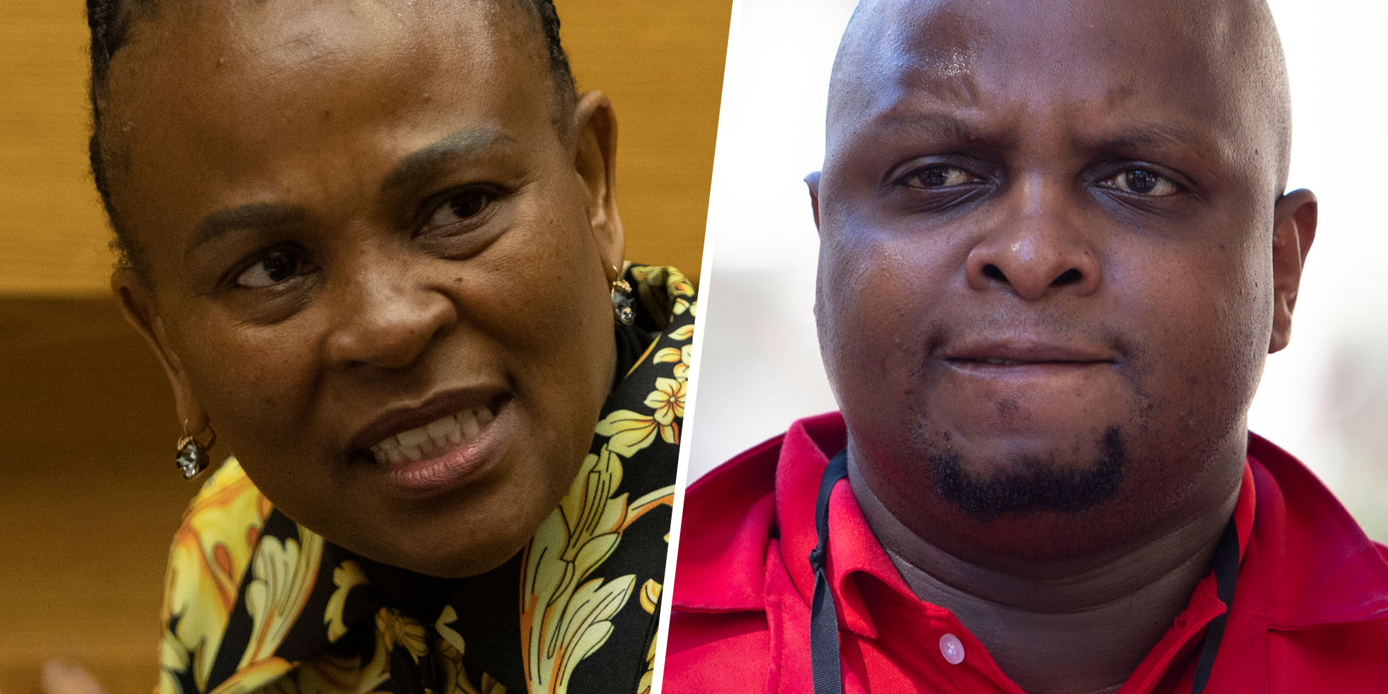 EFF's Floyd Shivambu gave Mkhwebane classified SARS 'rogue unit' report, hearing told