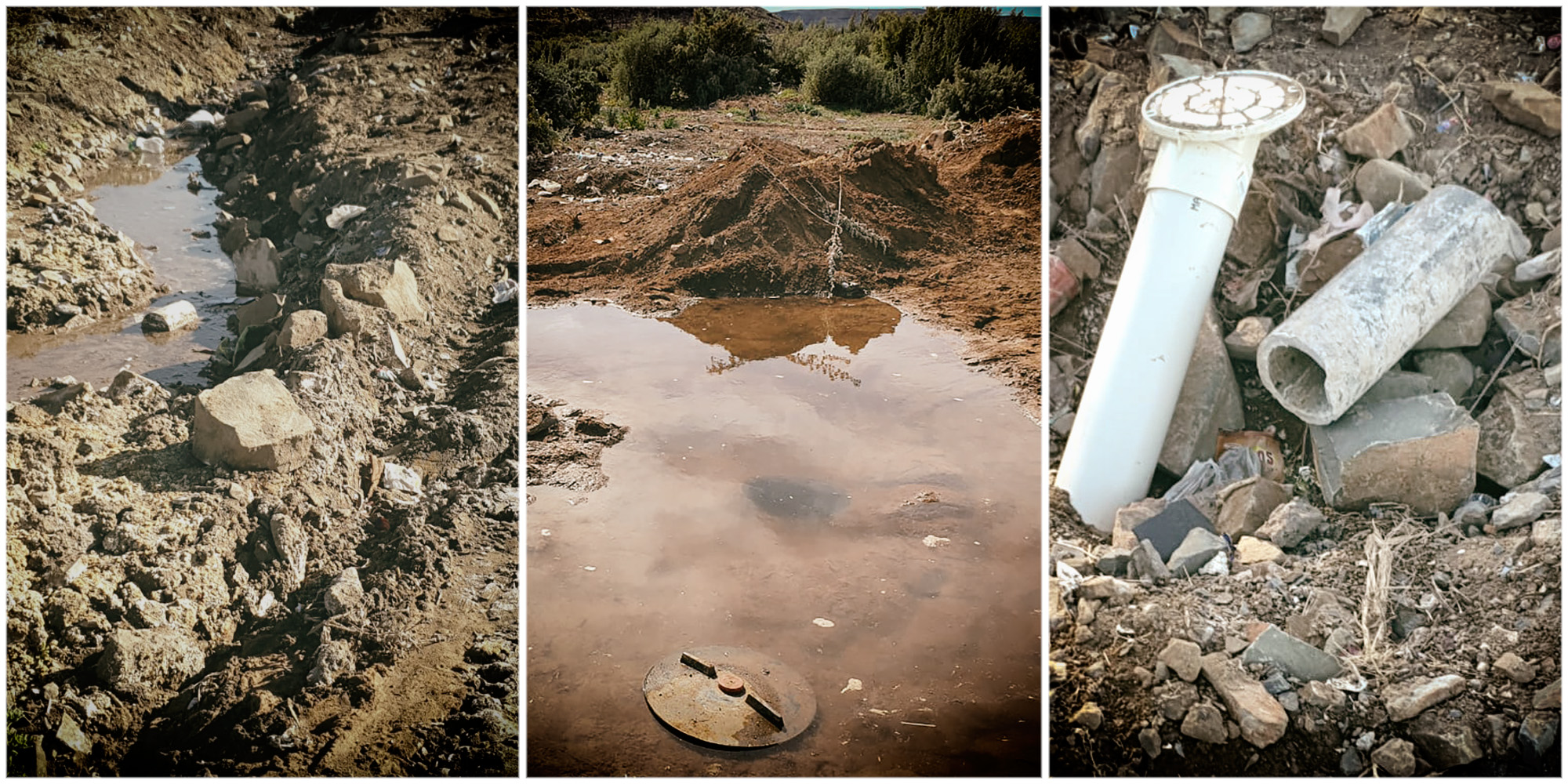 ‘Failure of epic proportions’ — lifting the lid on Gayton McKenzie’s flush toilets project