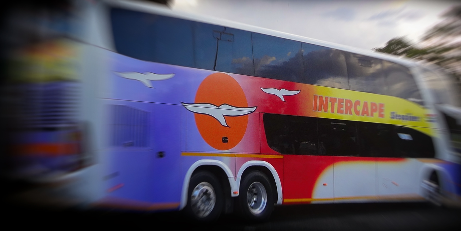Mbalula and axed EC transport MEC ‘played dead’ and ‘failed grossly’ in protecting Intercape buses - CEO