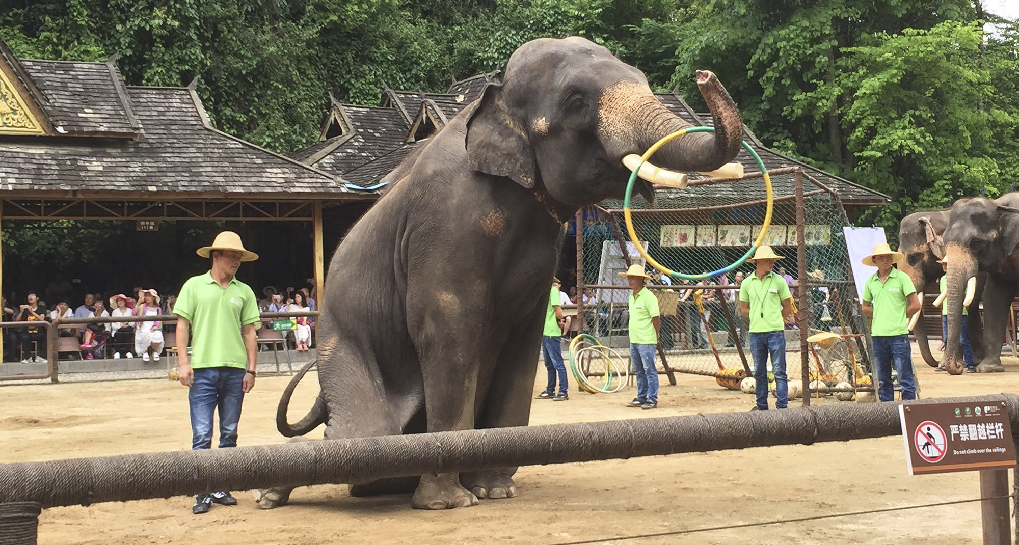 Endangered wild animals traded by commercial Asian zoos