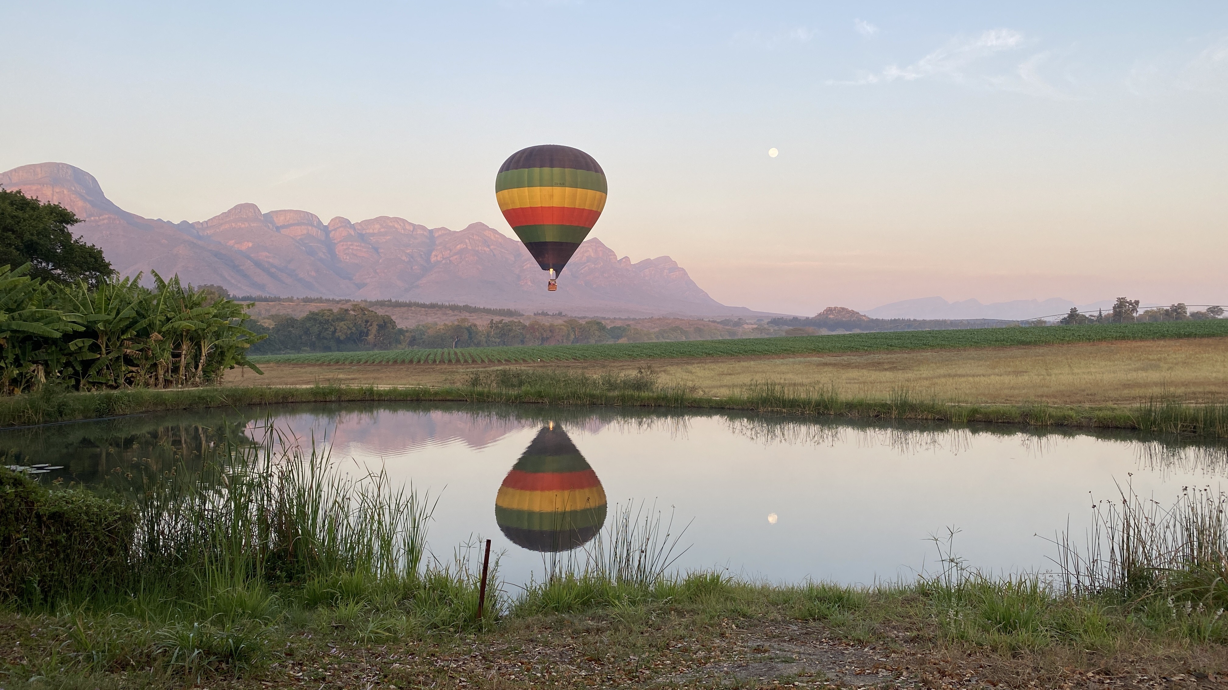 No place like home – how Limpopo turned things around after lockdown with small-town style and passion