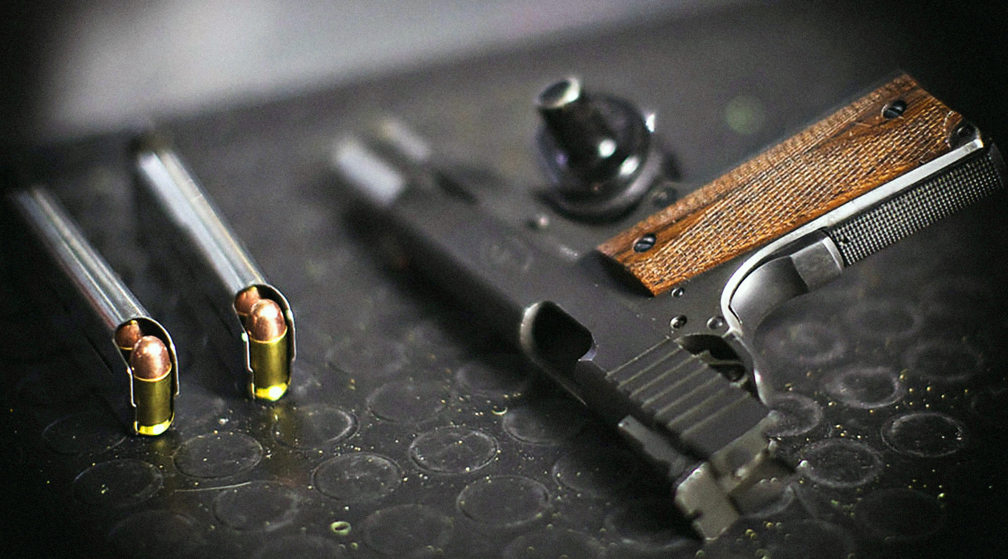Why new evidence demands immediate action on firearm oversight