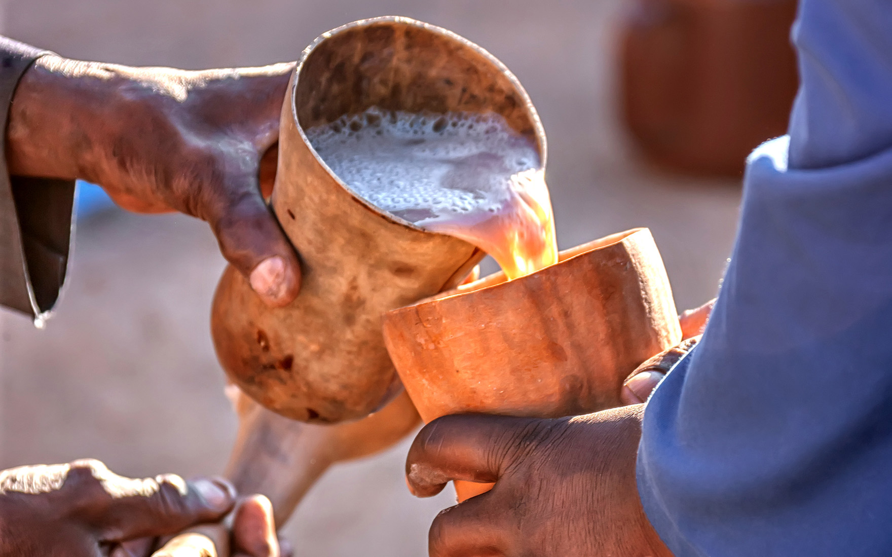Link between traditional beer, storage of maize and oesophageal cancer in the Eastern Cape revealed