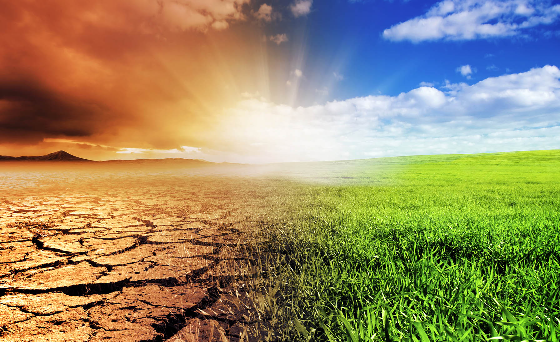 SA’s climate change adaptation and resilience must be province-specific and tap into indigenous knowledge