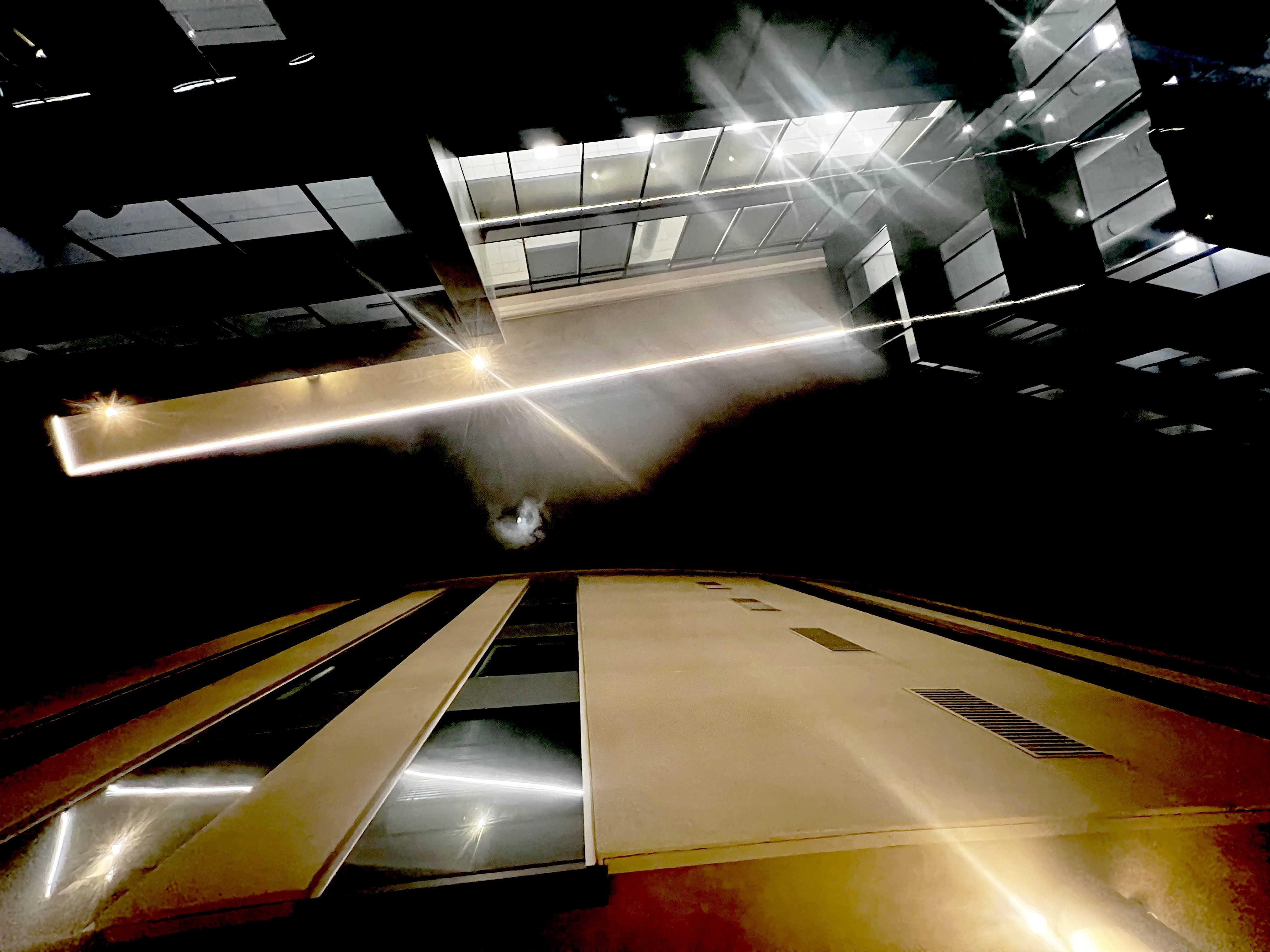 Black nights, white lights in the City of Golden food