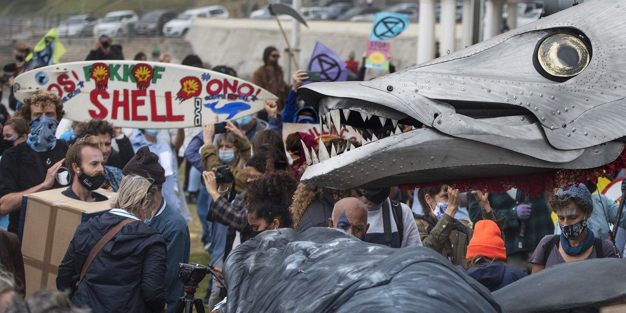 Activists celebrate big win for Wild Coast against Mantashe and Shell