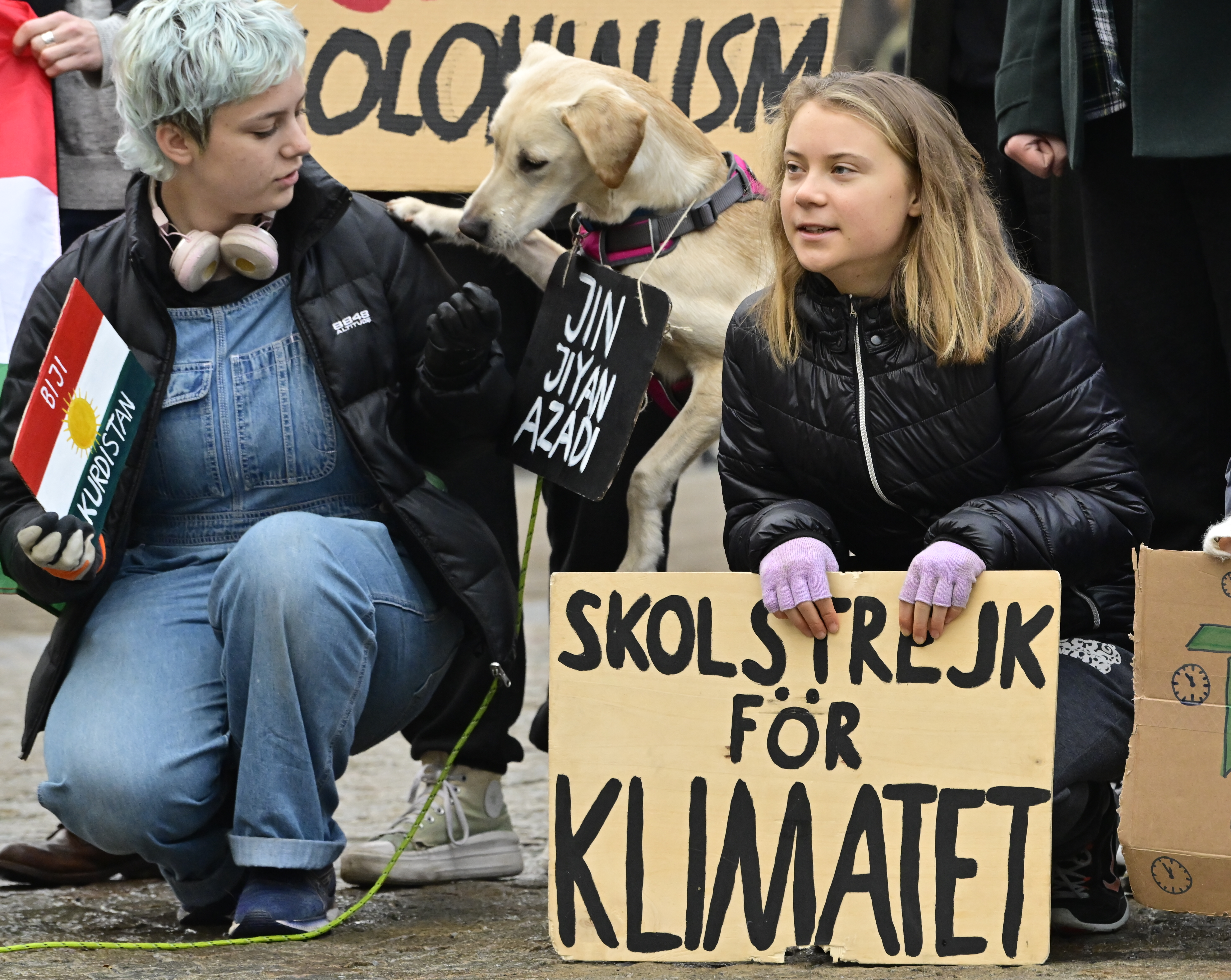 COP27 an opportunity for 'greenwashing, lying and cheating' - Greta Thunberg