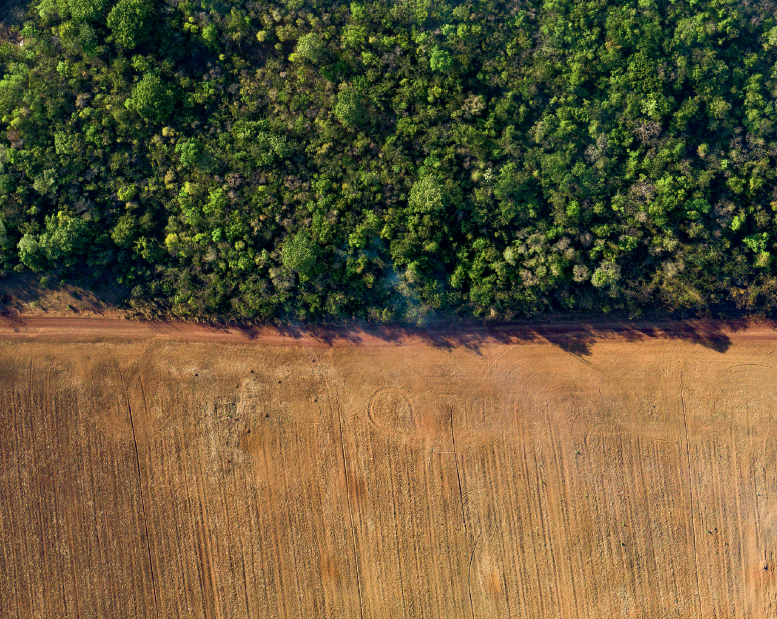 It’s Code Red for the survival of all wild creatures — and ultimately humanity