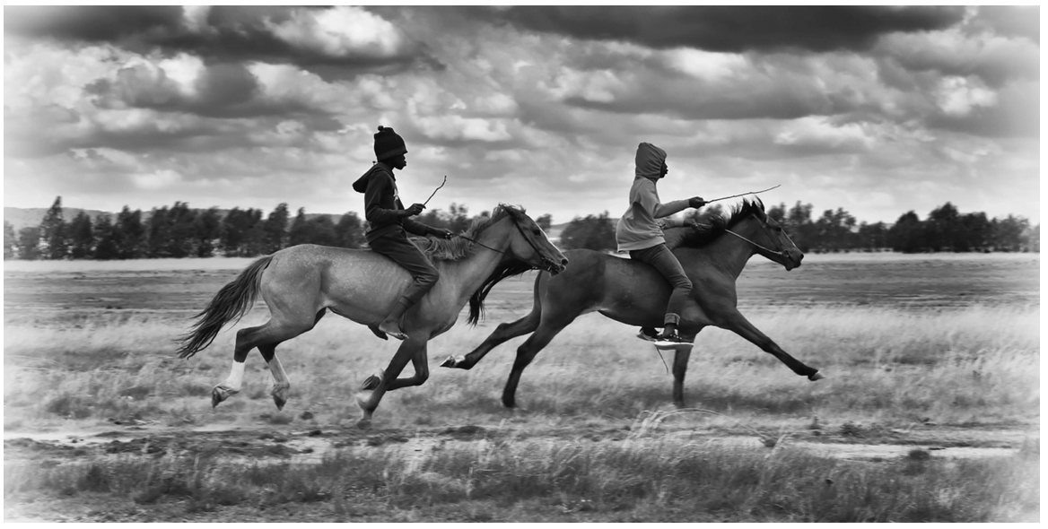 South African horse racing in the picture