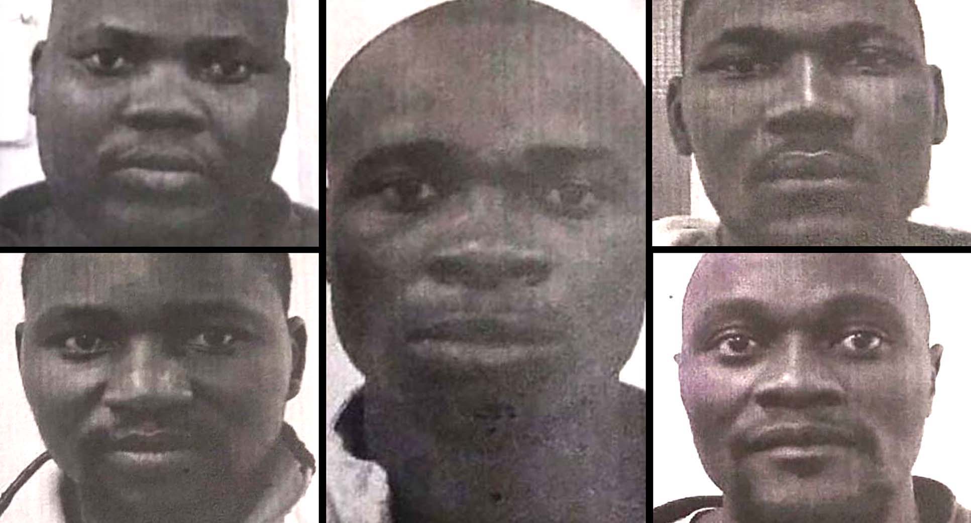 Seven men, including five rhino poachers, escape through Makhanda prison window