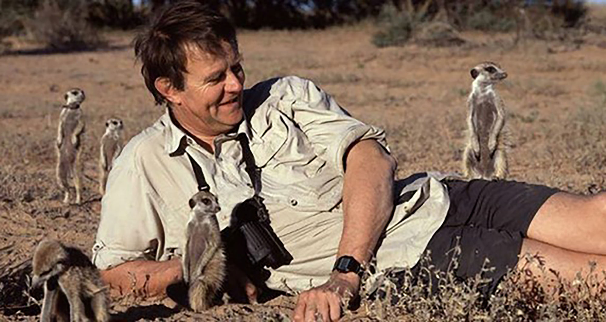 Climate change — deer do well, misery for meerkats