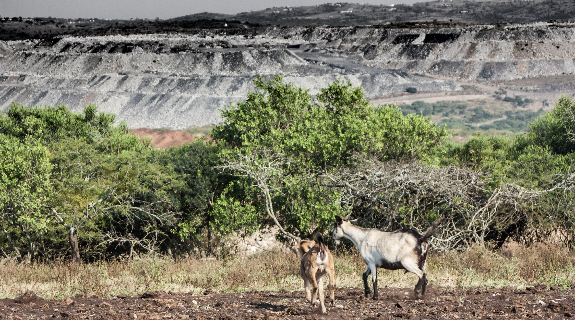 ‘Green growth’ economy demands widespread and fundamental change to how society is organised
