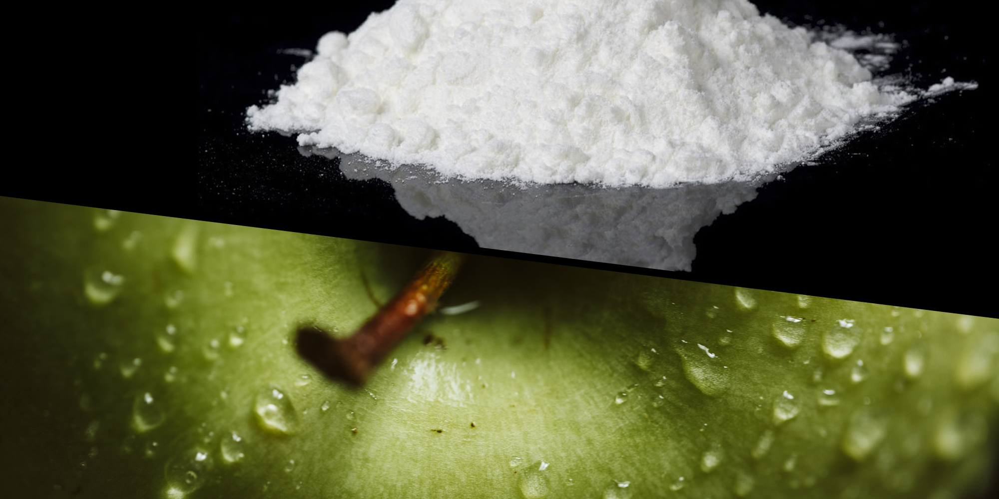 Tik and cocaine worth billions found in consignments of apples, pears and oranges exported from SA to India