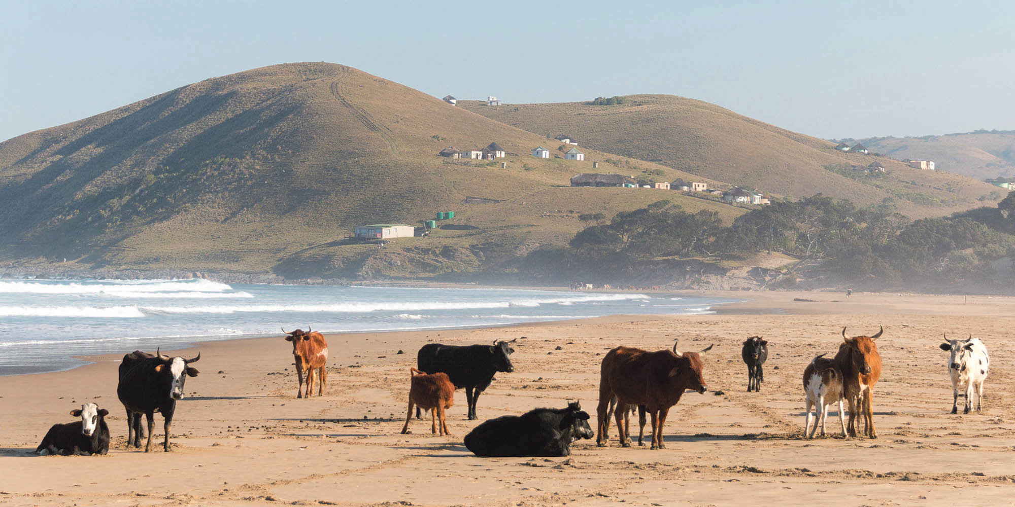At the heart of the Wild Coast are its people and their invaluable local knowledge