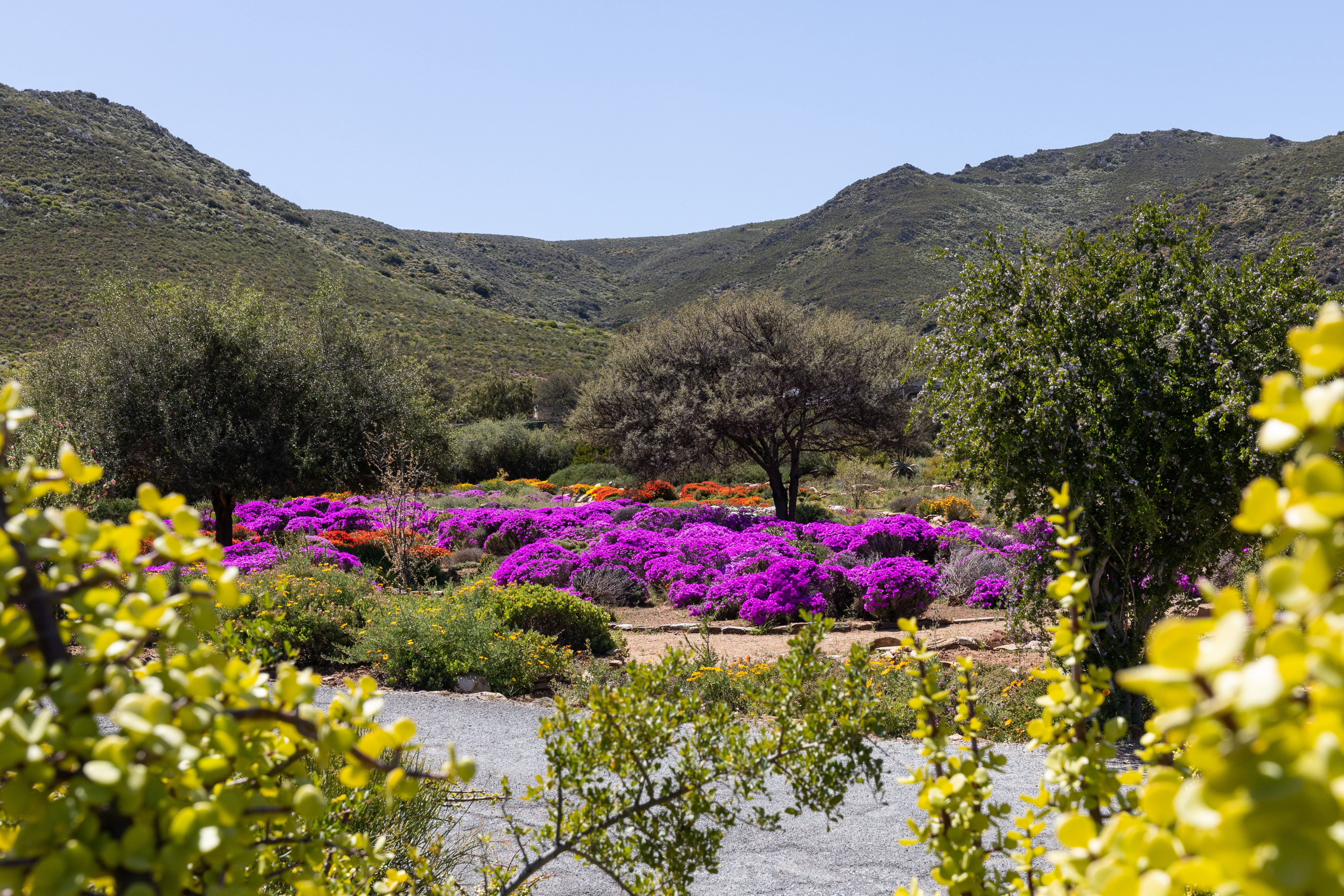 Touch of nature — Braille trail launched at Worcester botanical gardens