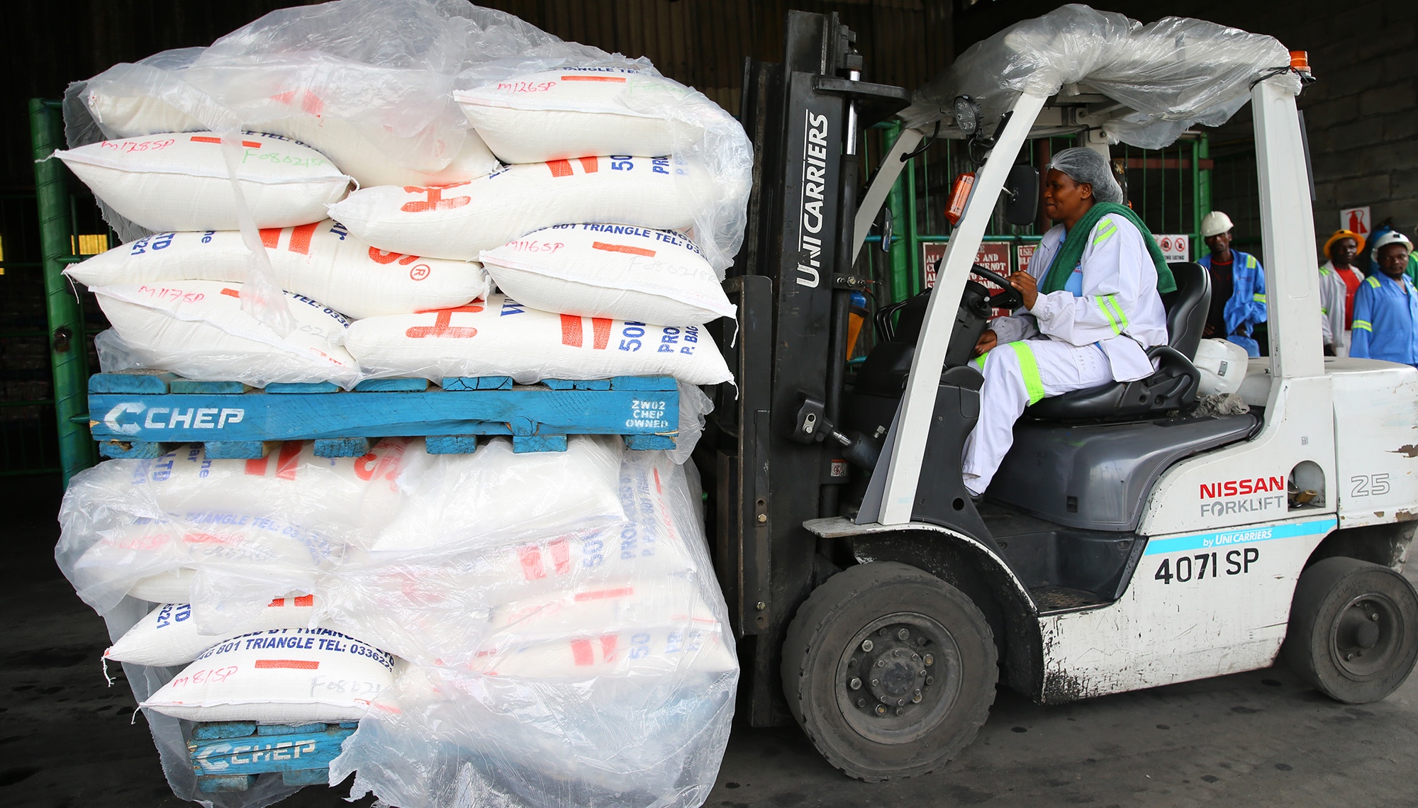 The Finance Ghost: Ailing Tongaat Hulett needs a hero