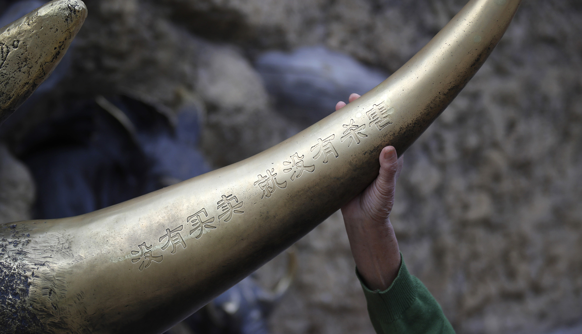 Rhino horn illicit trade driven by demand for luxury carvings, not medicine – new report