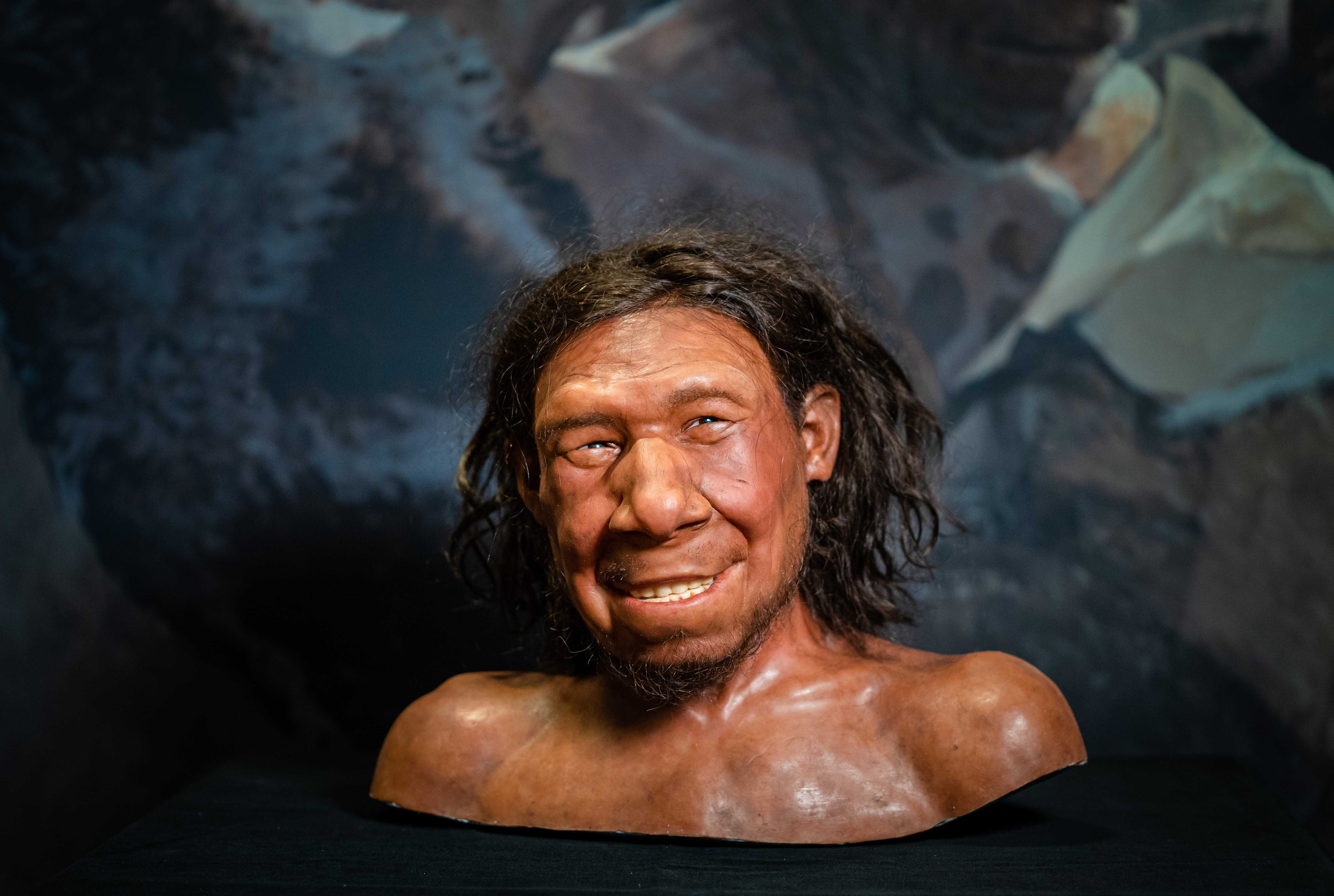 The oldest Neanderthal in the Netherlands has a face