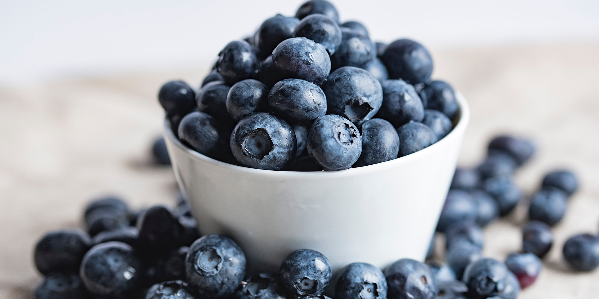 Blueberry farmers despair as Transnet strike costs them valuable windows of opportunity abroad