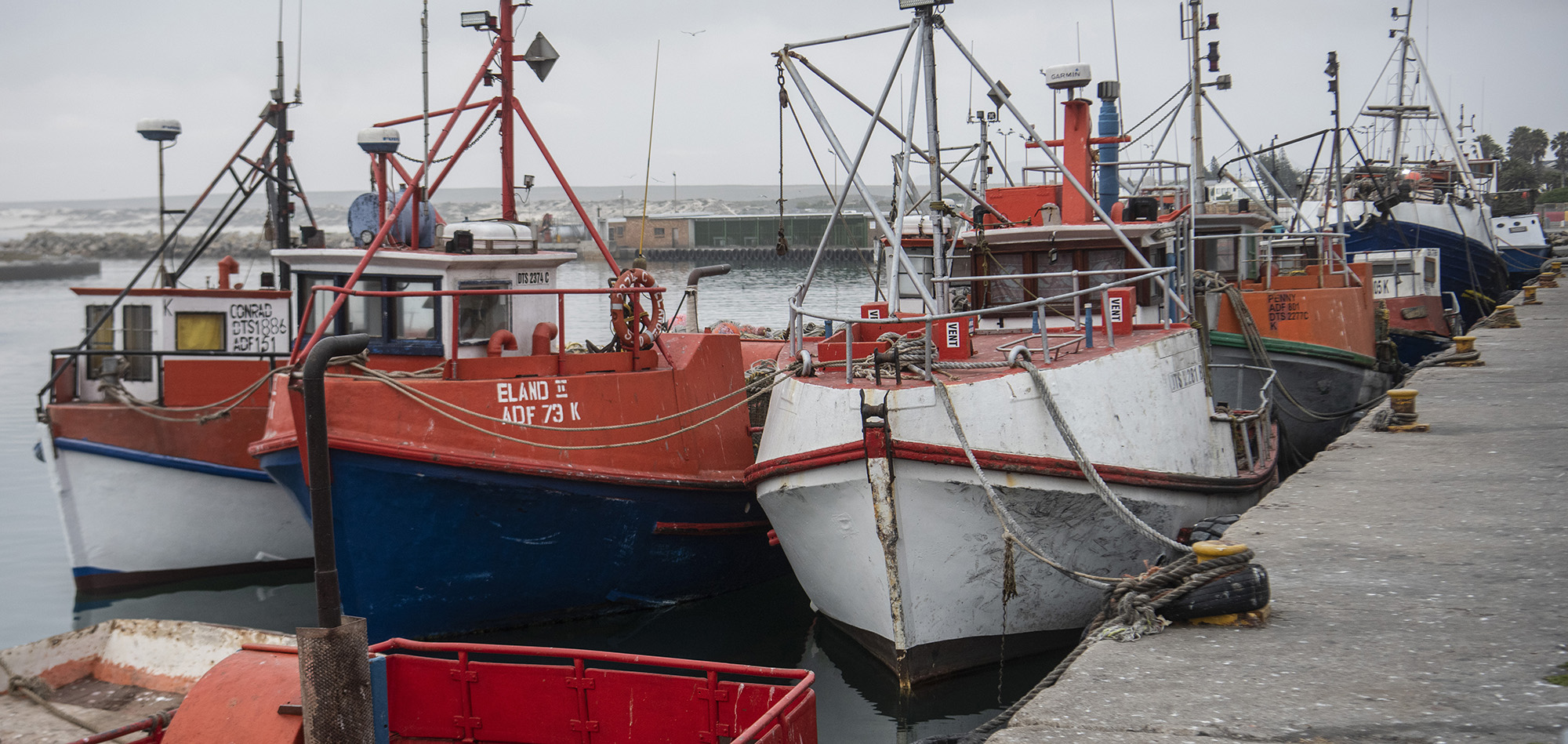 Lambert’s Bay - a divided Western Cape town in the midst of a crucial by-election